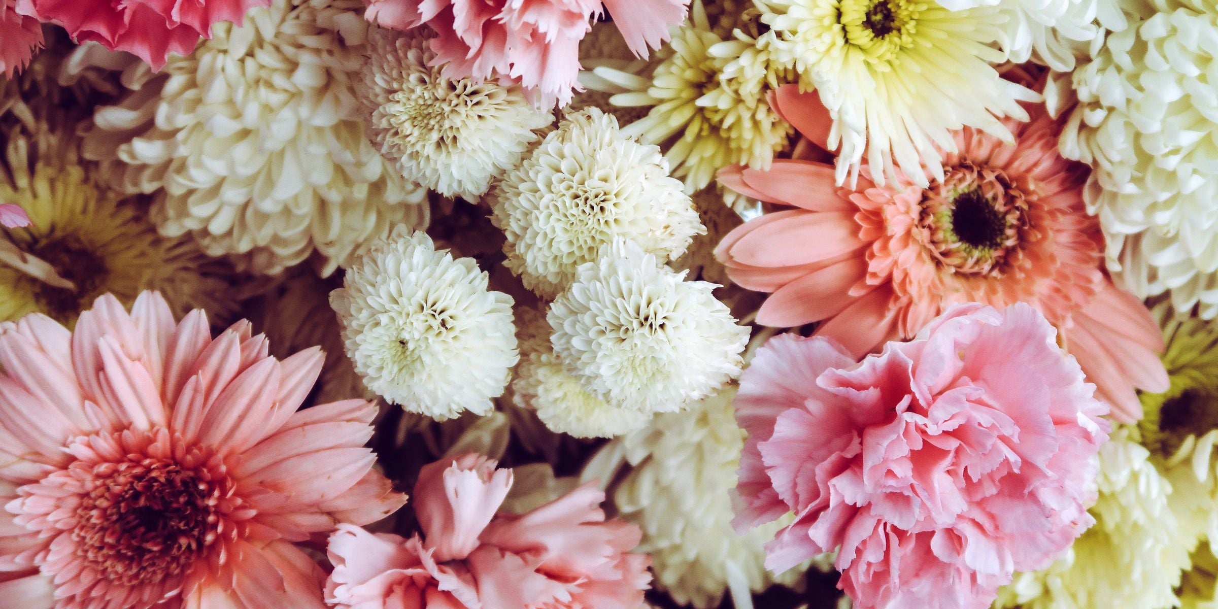 Floral Scents Collection of aroma oils for diffusers