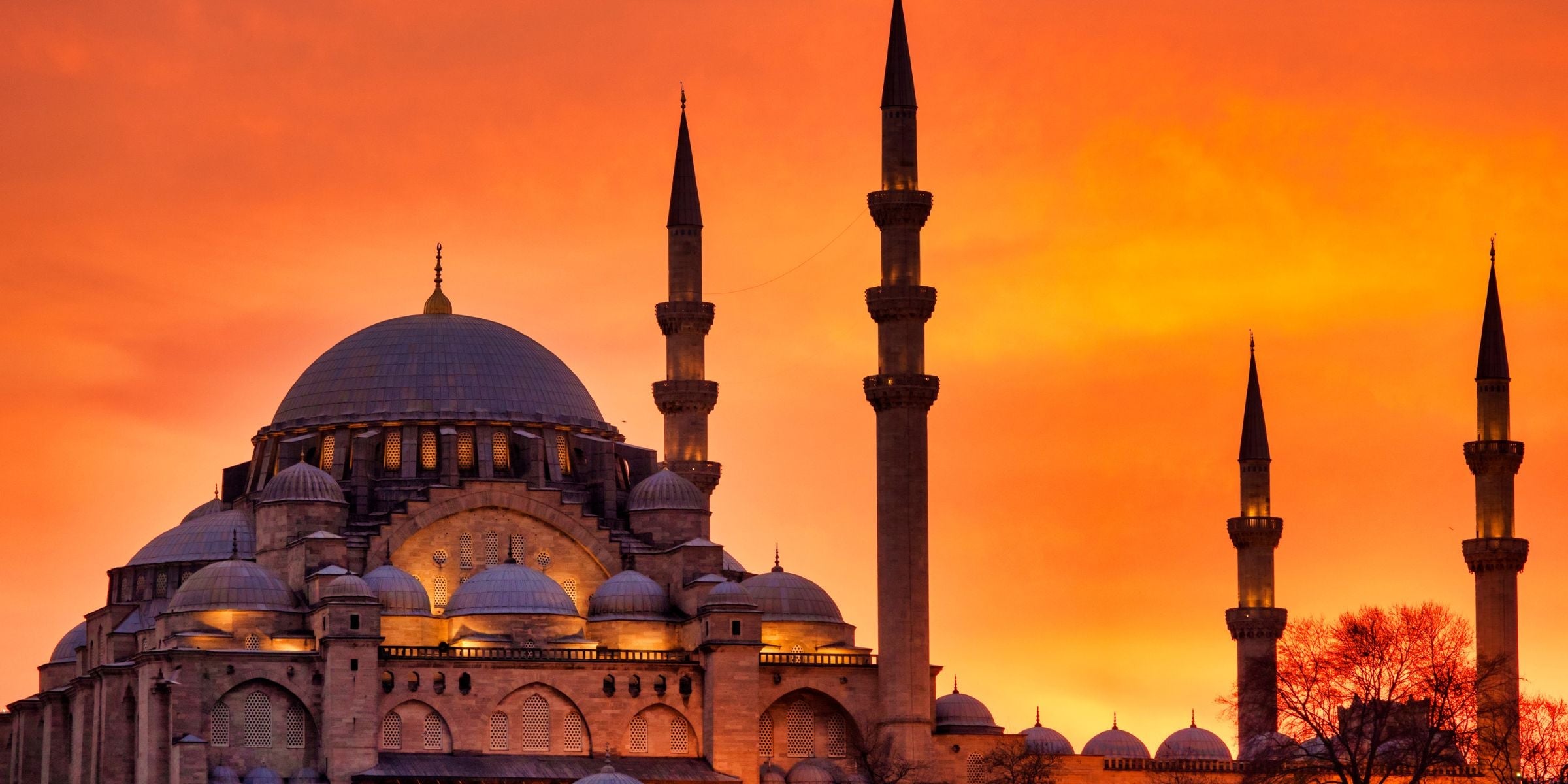 Oriental Scents Collection of aroma oils for diffusers