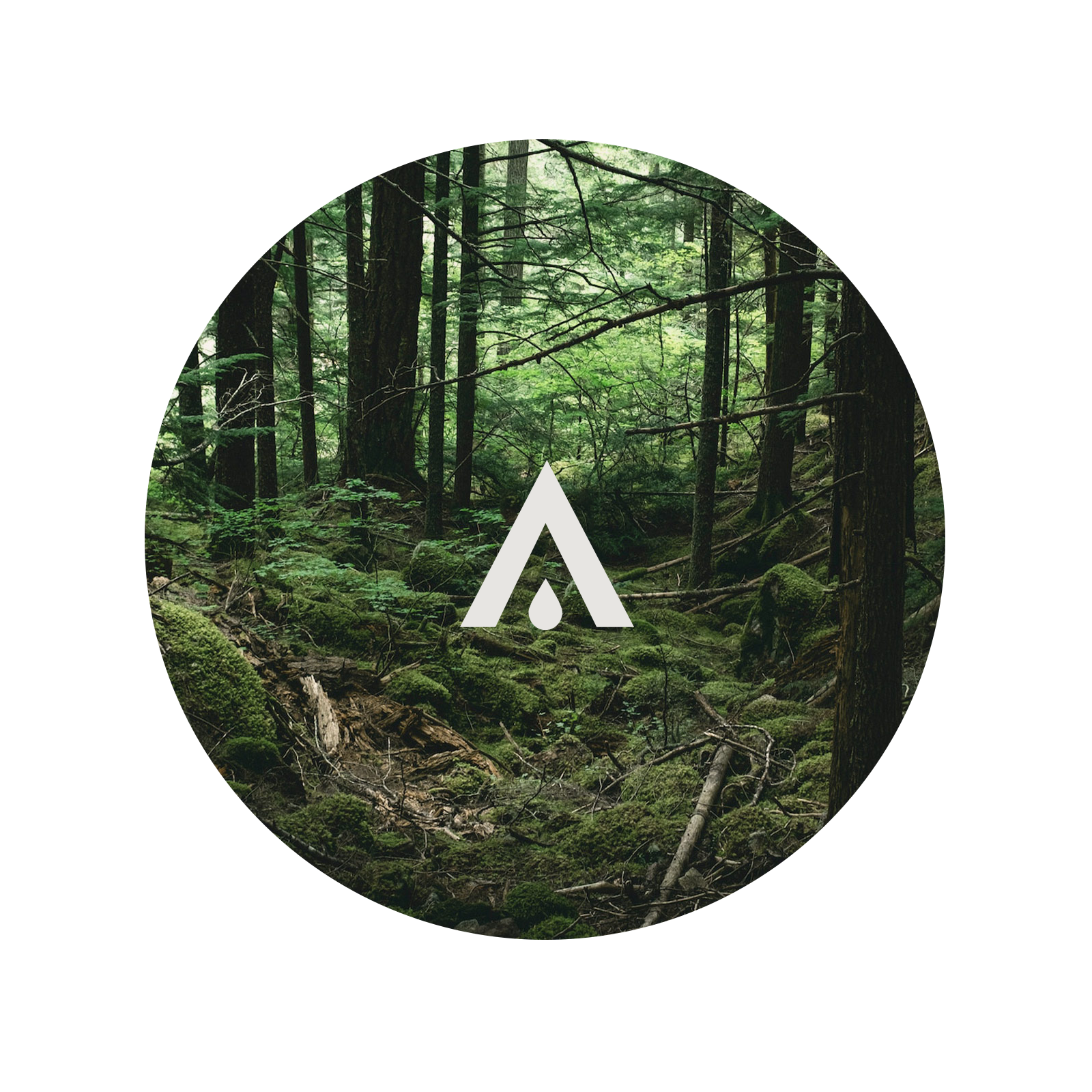 Forest Soil and Fir Aroma Oil for diffusers