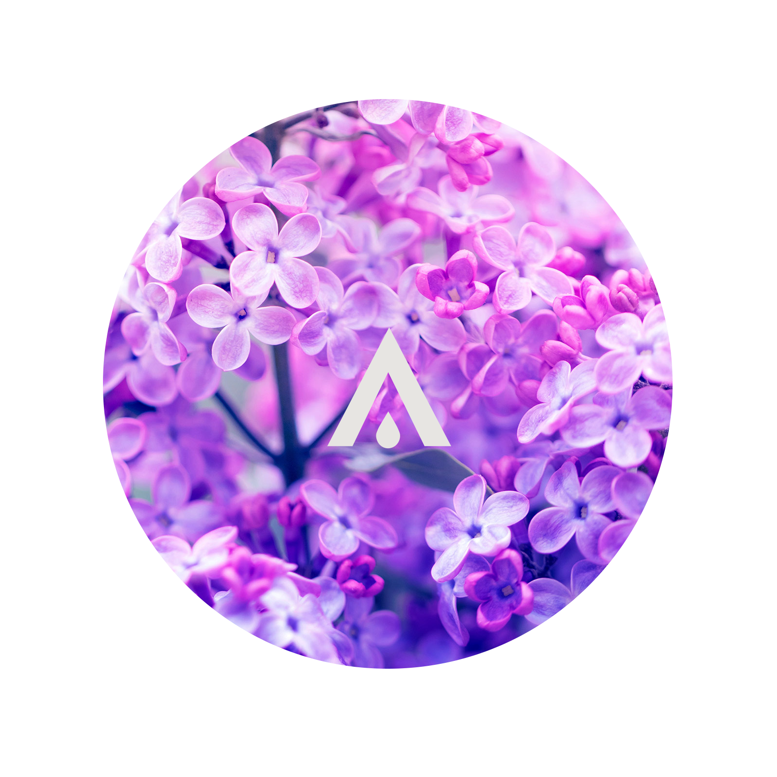 Pure Lilac Aromal Oil for diffusers