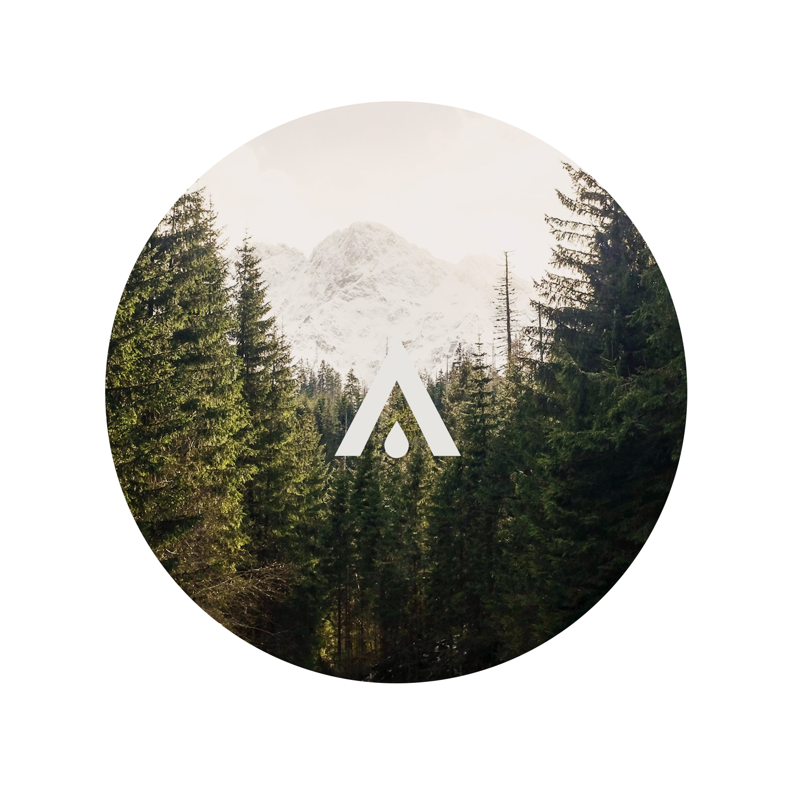 Siberian Woodlands Aroma Oil for diffusers