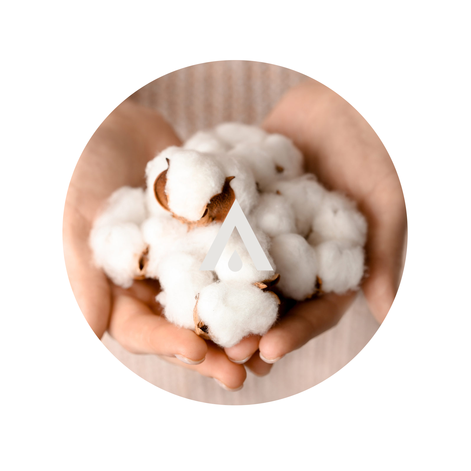 Cotton Musk Aroma Oil for diffusers