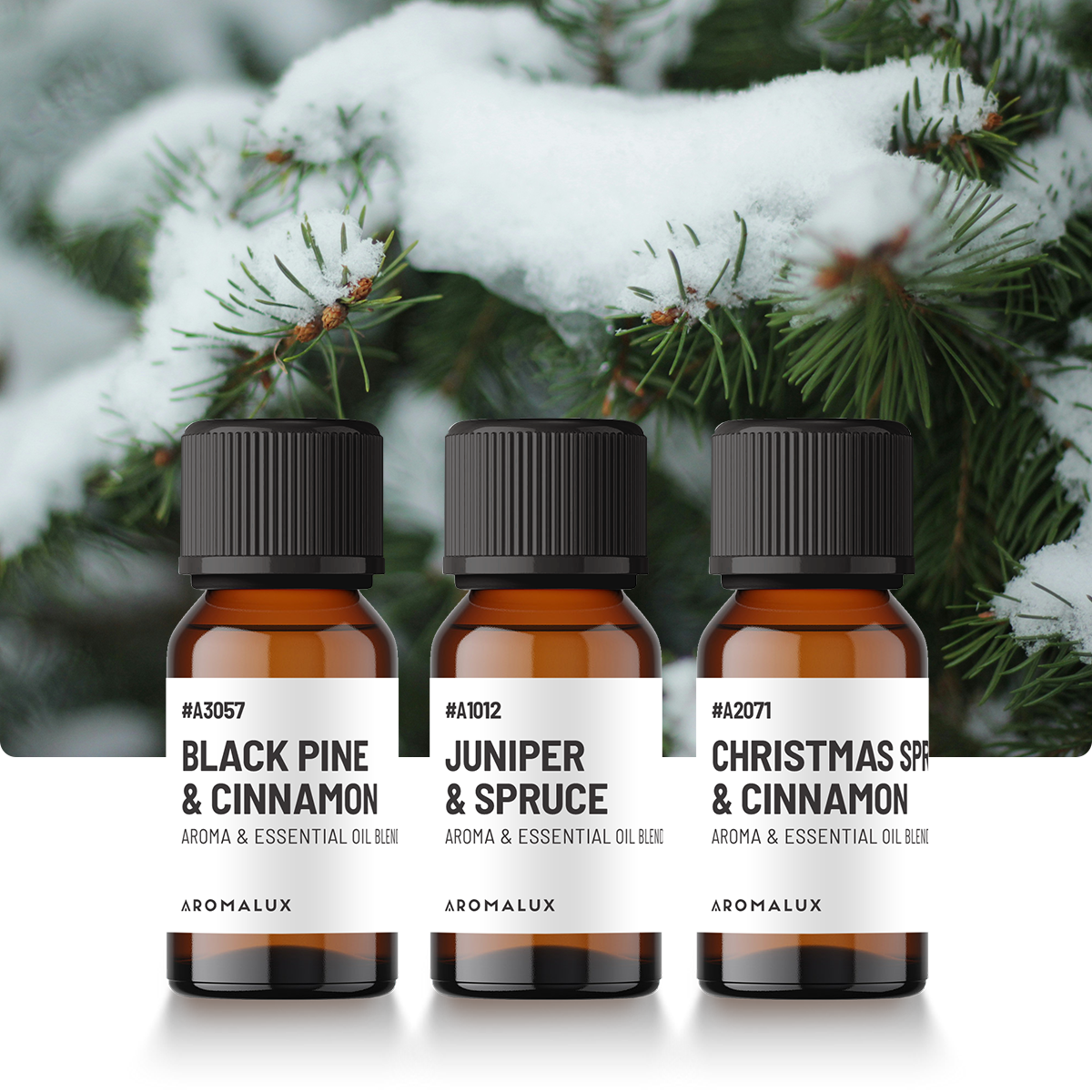 The Wintergreen Diffuser Oil Set