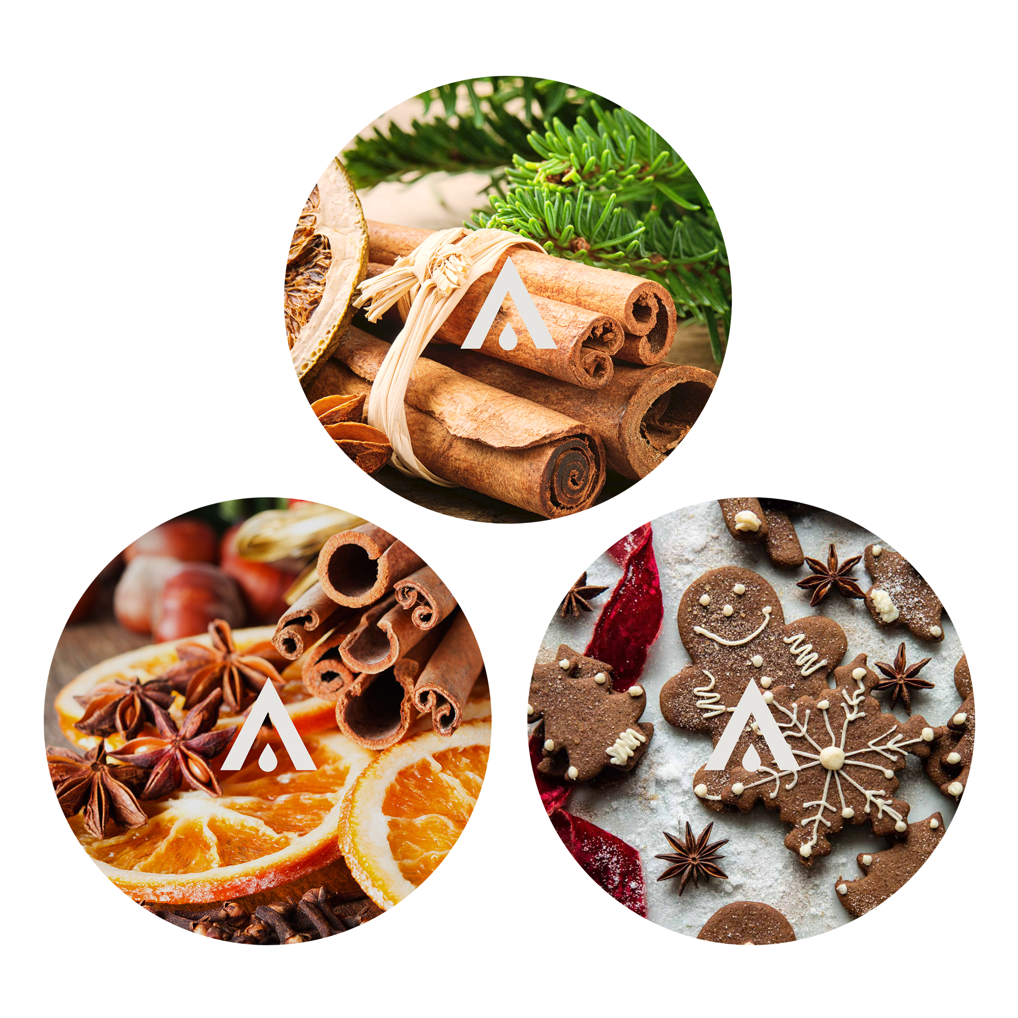 The Holiday Spice Diffuser Oil Set