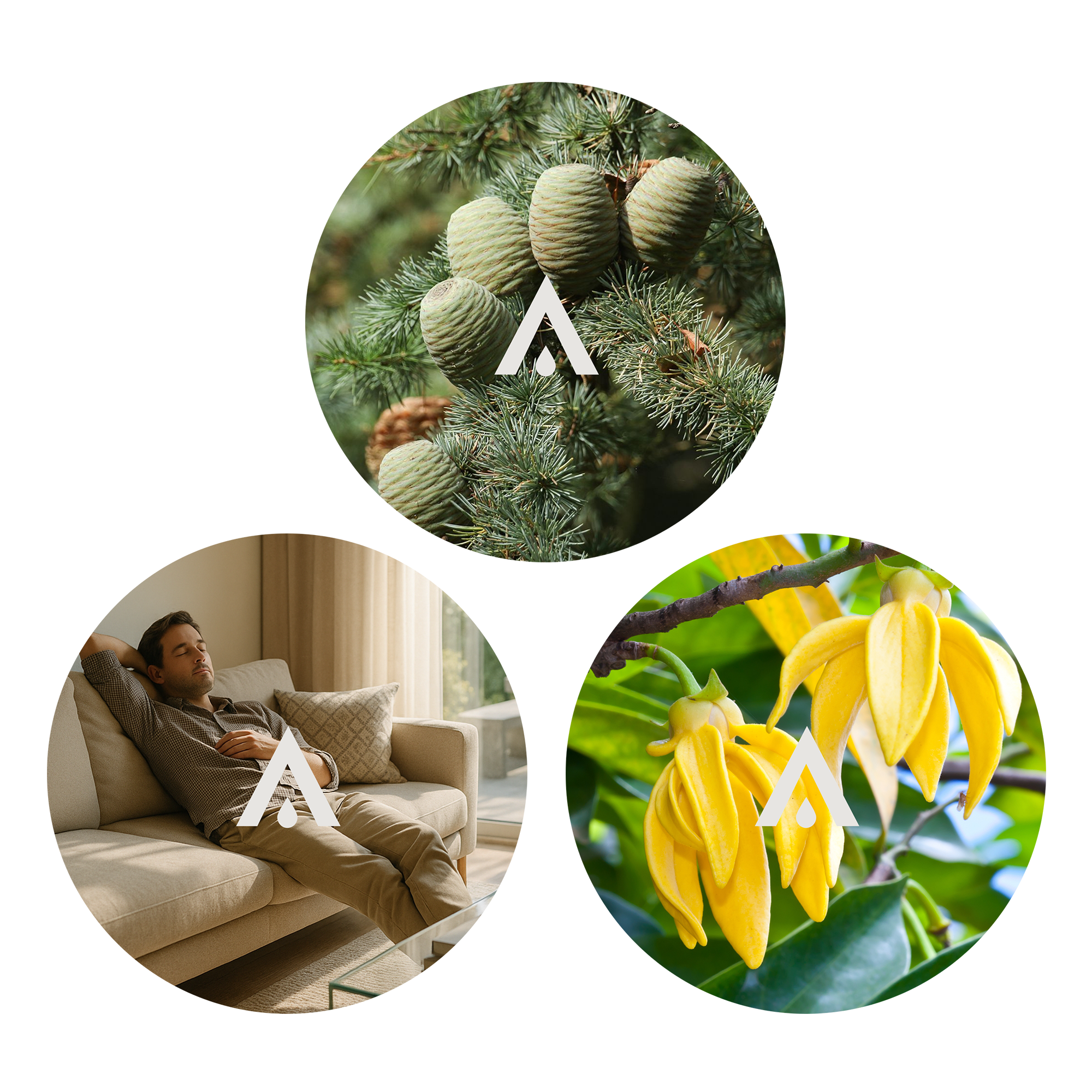 The Deep Serenity Essential Oil Bundle scents included