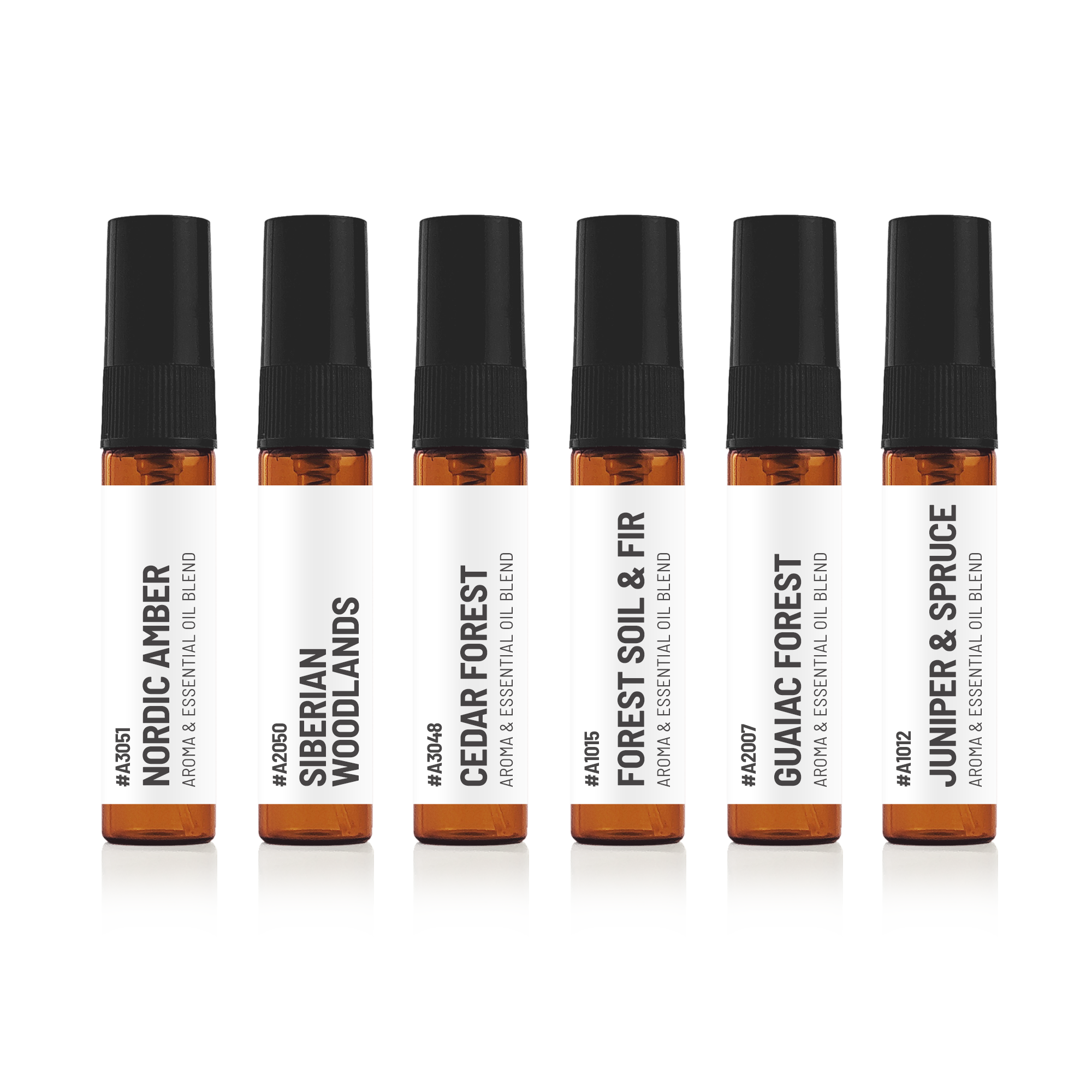 The Forest Collection Discovery Kit