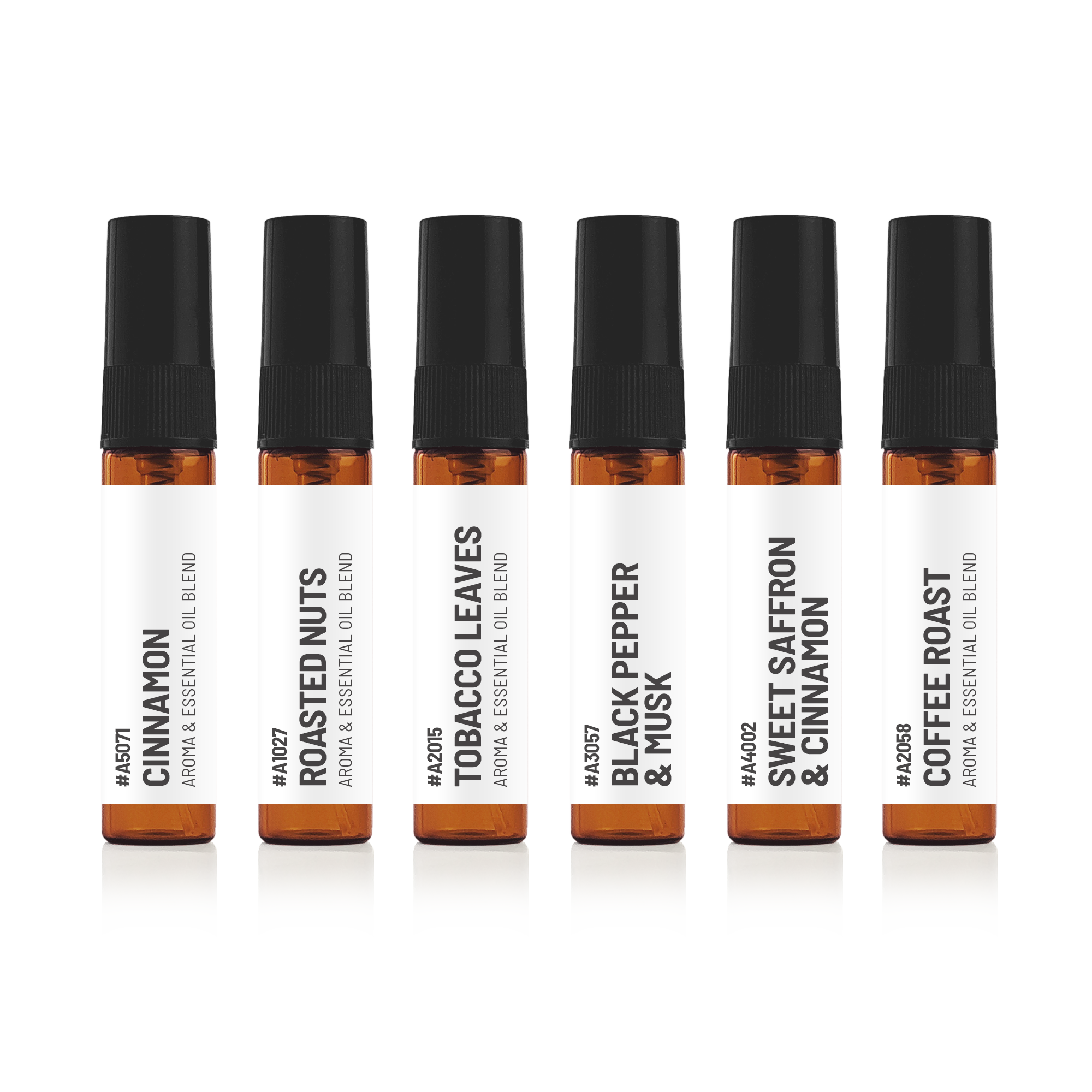 The Bazaar Collection Discovery Kit