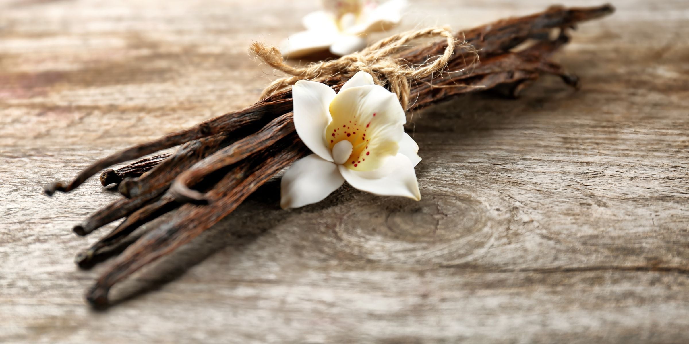 The Vanilla Collection of fragrance oils for diffusers
