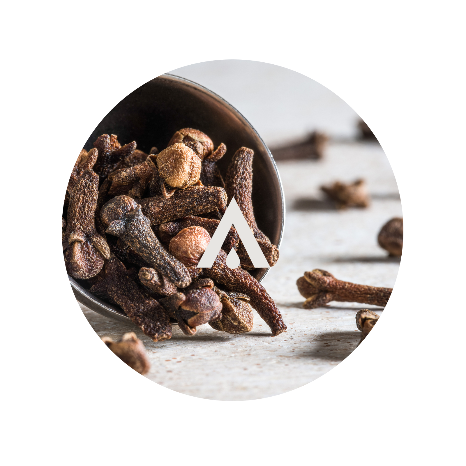 Cloves in a small bowl on a wooden surface with a brand logo.