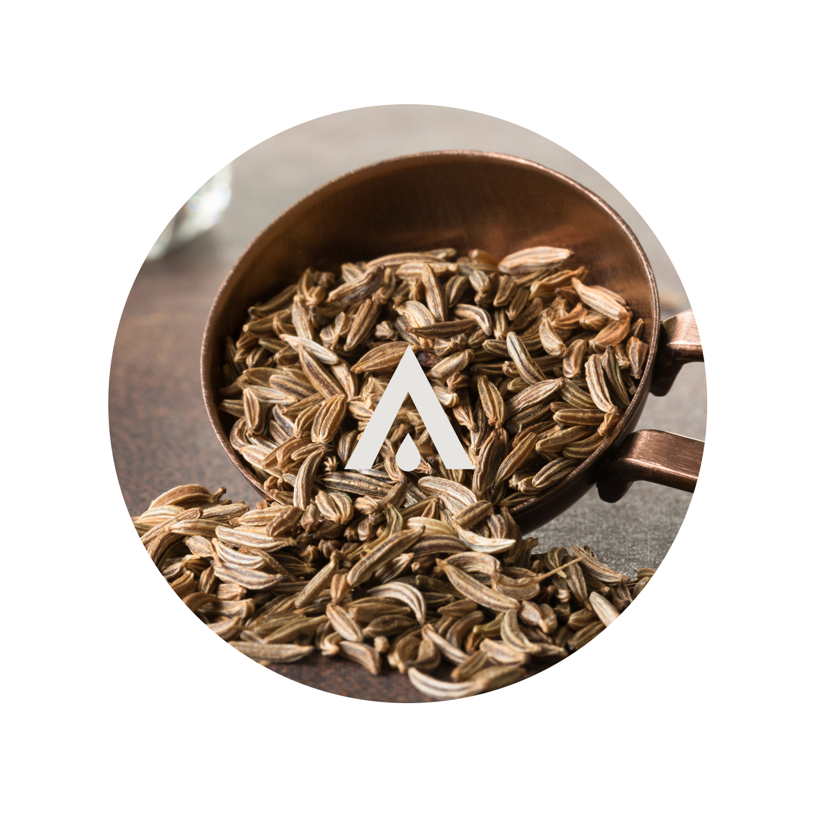 Copper tea infuser with caraway seeds on a white background