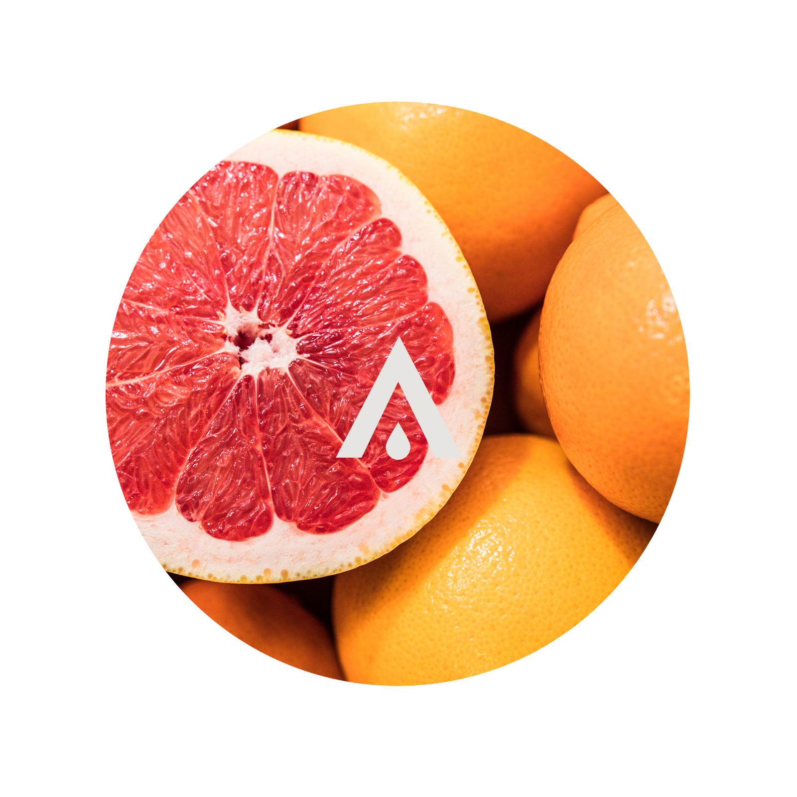 Grapefruit close up