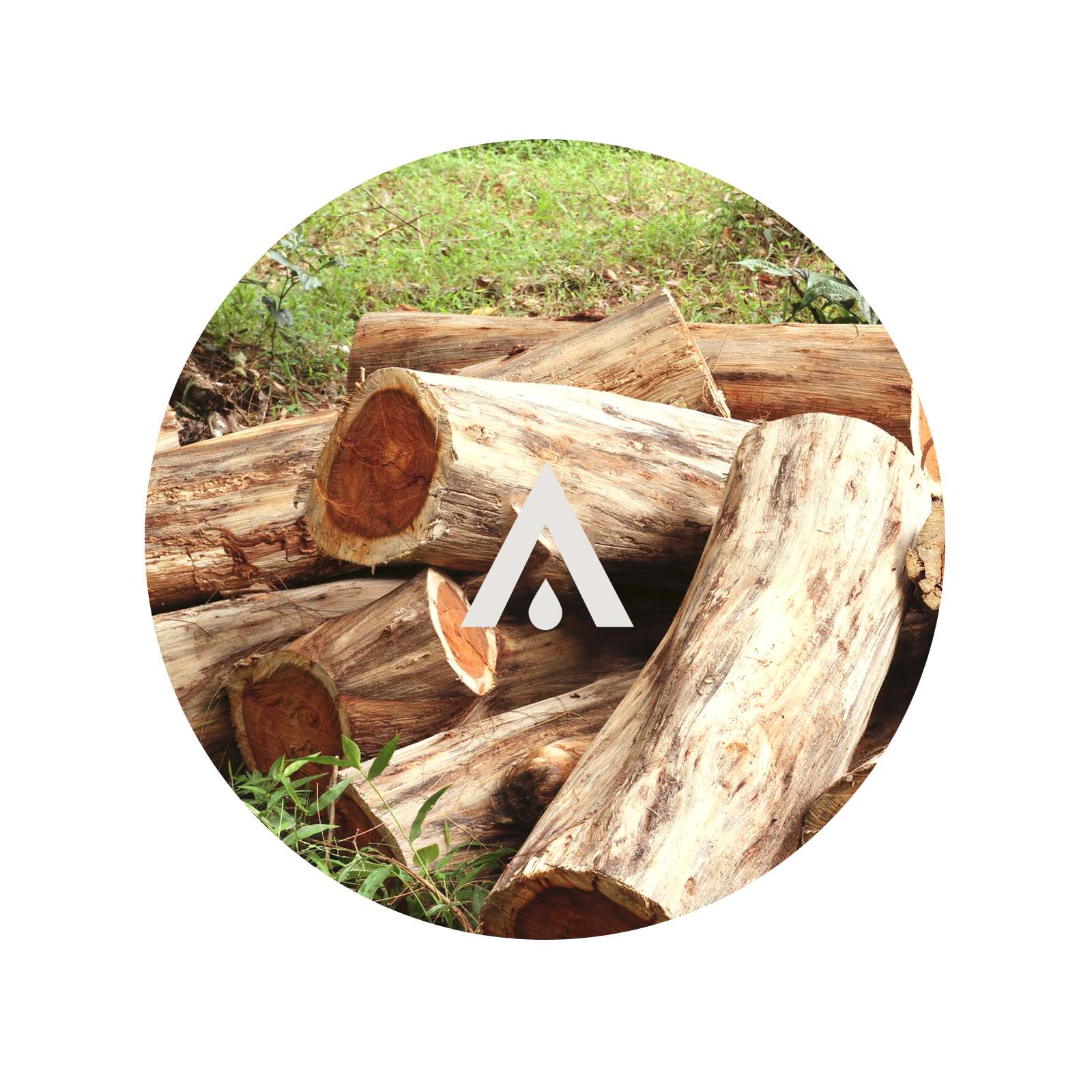 Rosewood Pure Essential Oil for diffusers