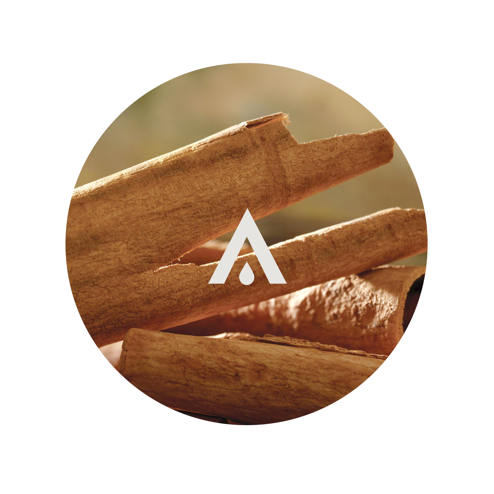 Cinnamon Pure Essential Oil