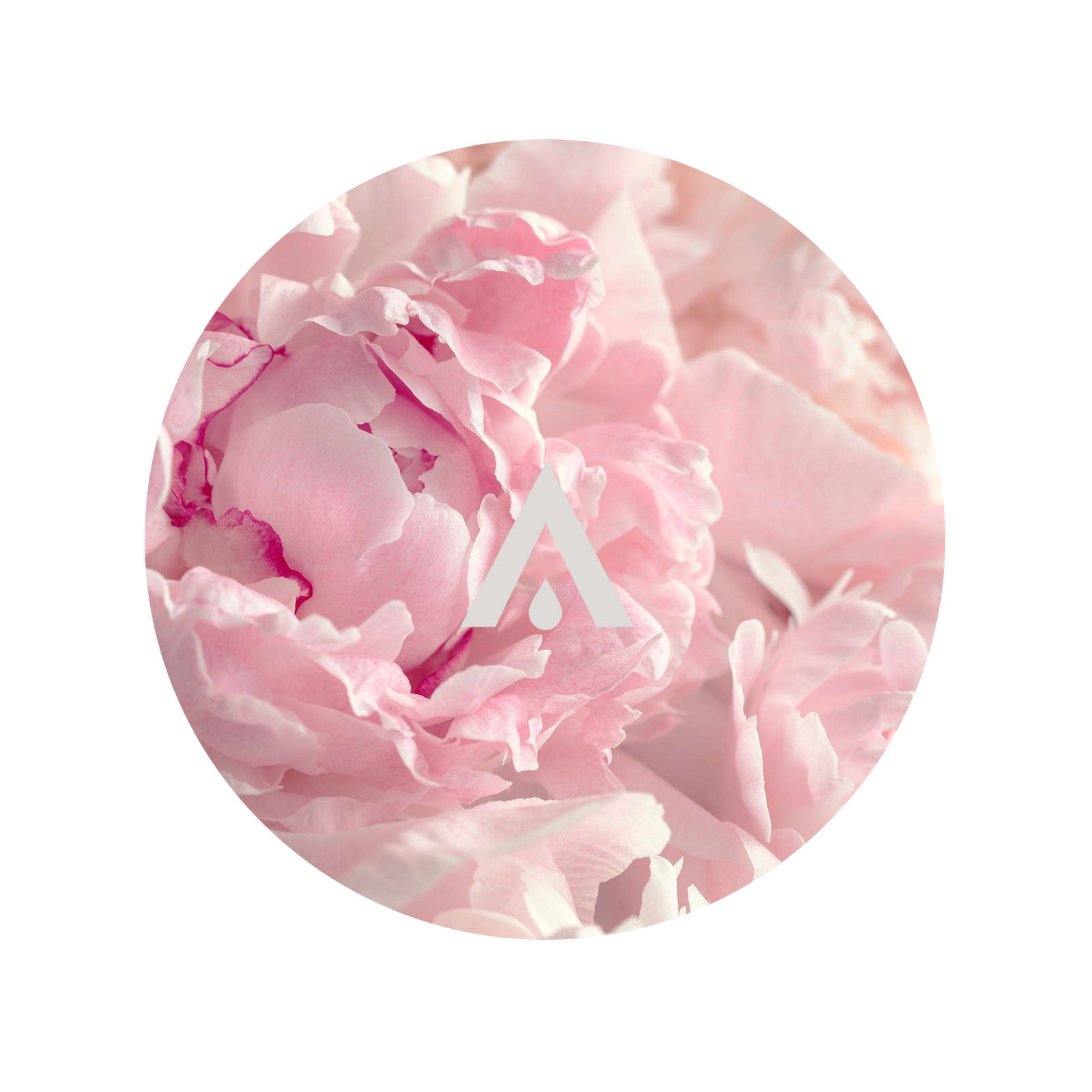 Pink Pepper and Peony Blush Aroma Oil for diffusers