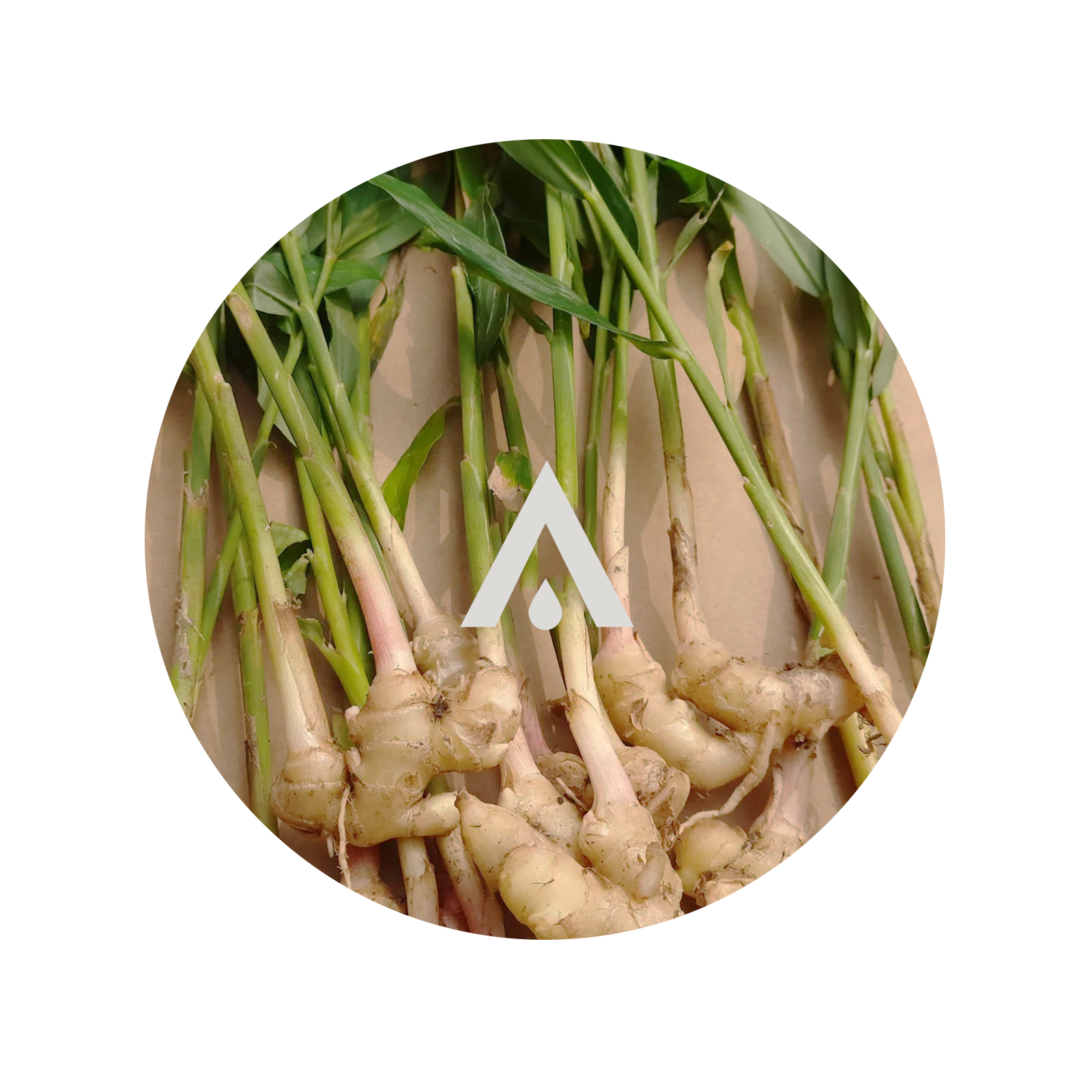 Ginger and Lemongrass Aroma Oil for diffusers