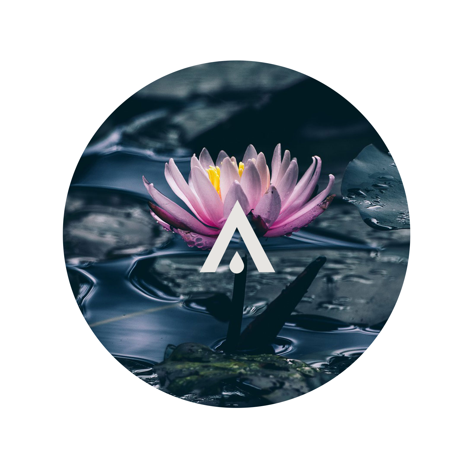 Water Lily and Lotus Aroma Oil for Diffusers