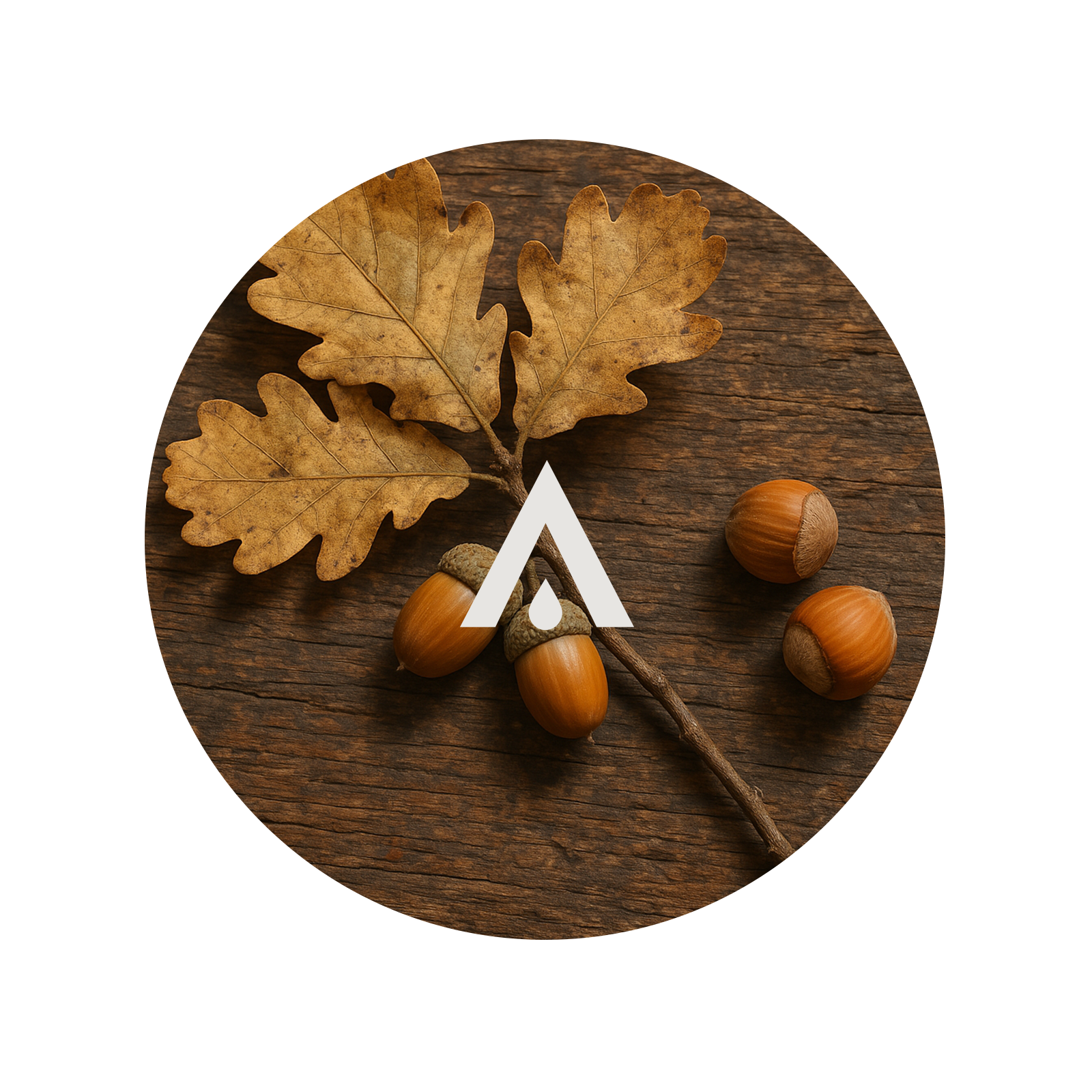 Oak and Hazelnut Aroma Oil for diffusers