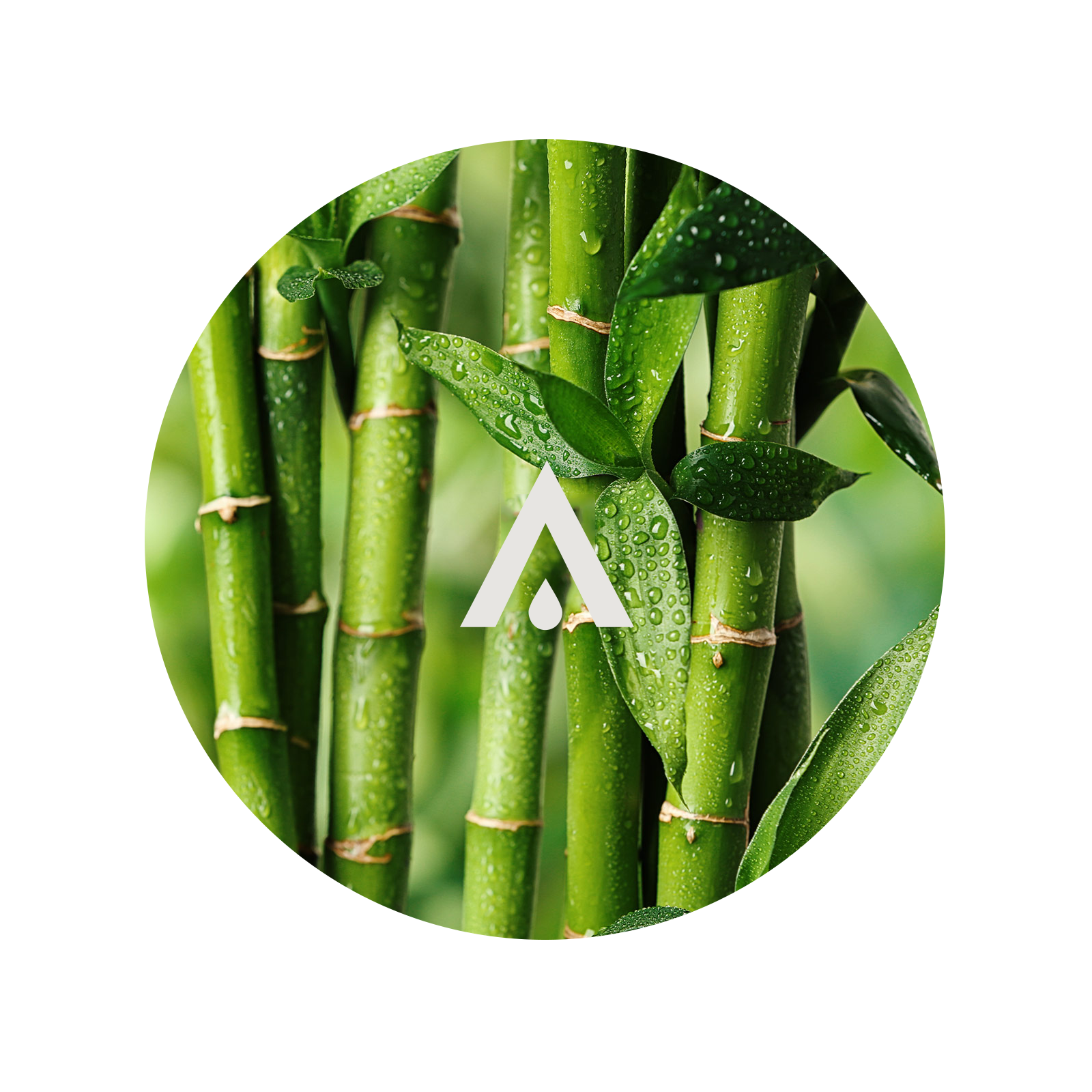 Aloe and Bamboo Aroma Oil for diffusers