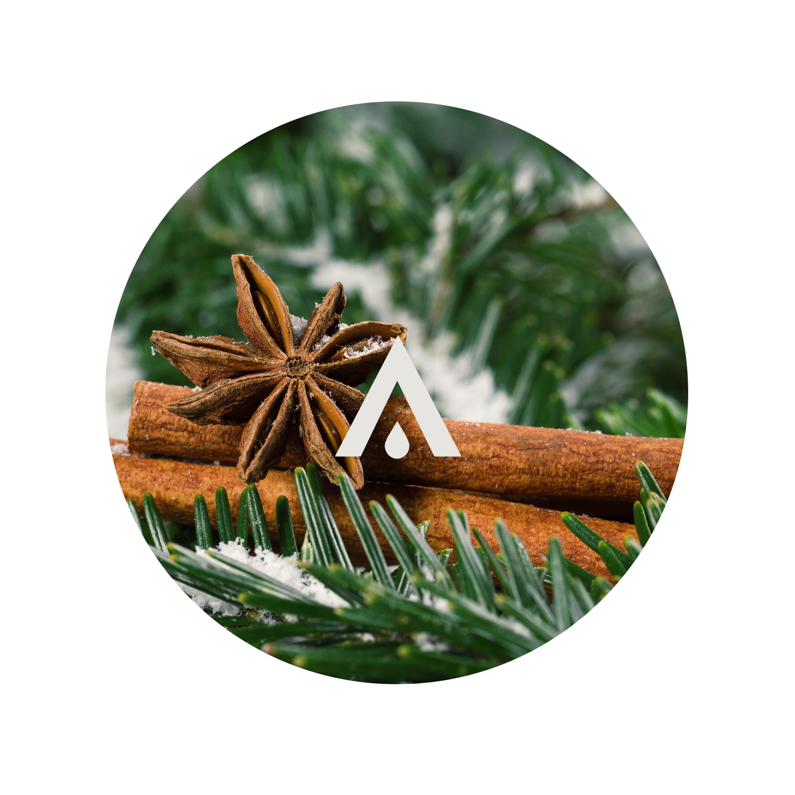 Christmas Spruce and Cinnamon Aroma Oil for diffusers