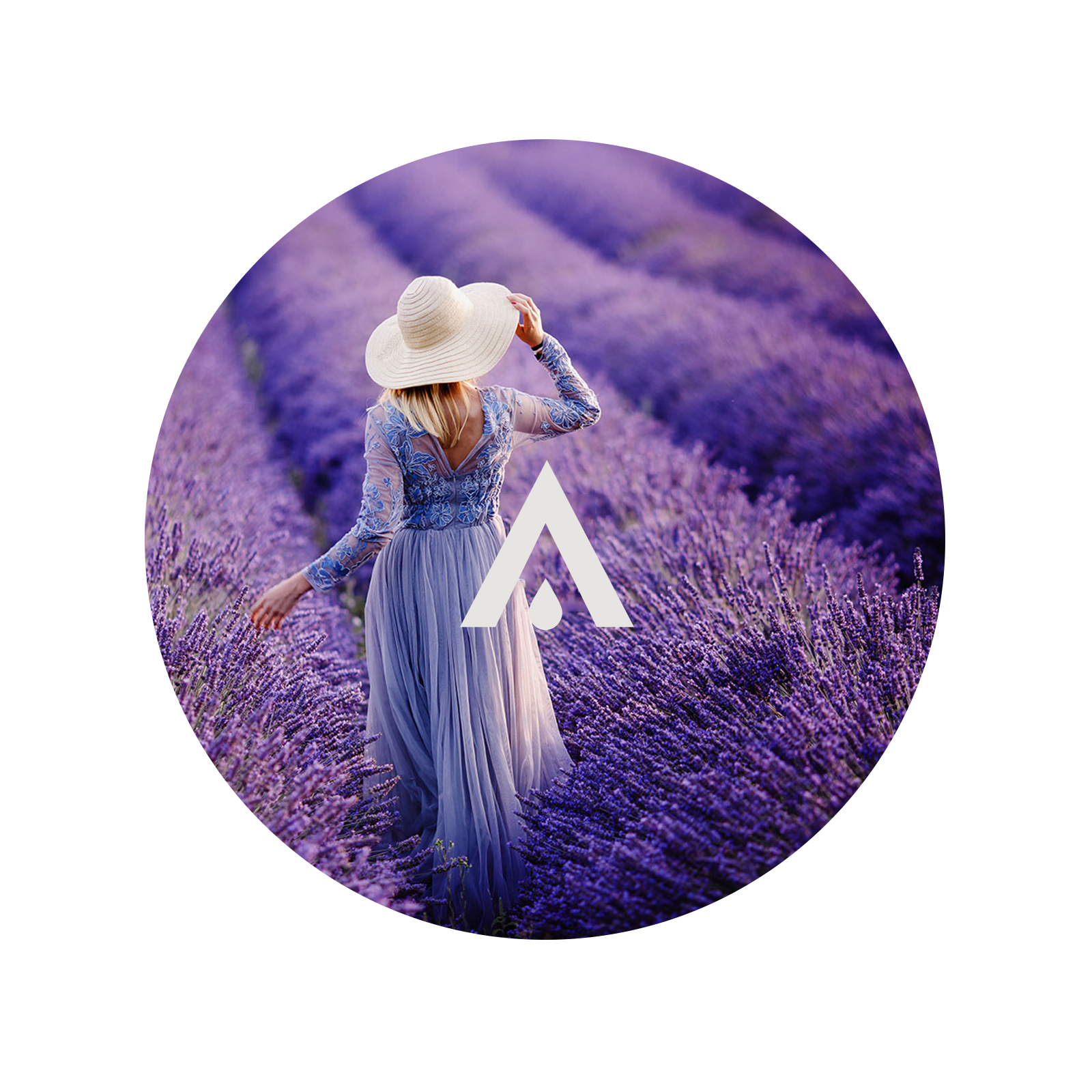 Lavender Fields Aroma Oil for Diffusers
