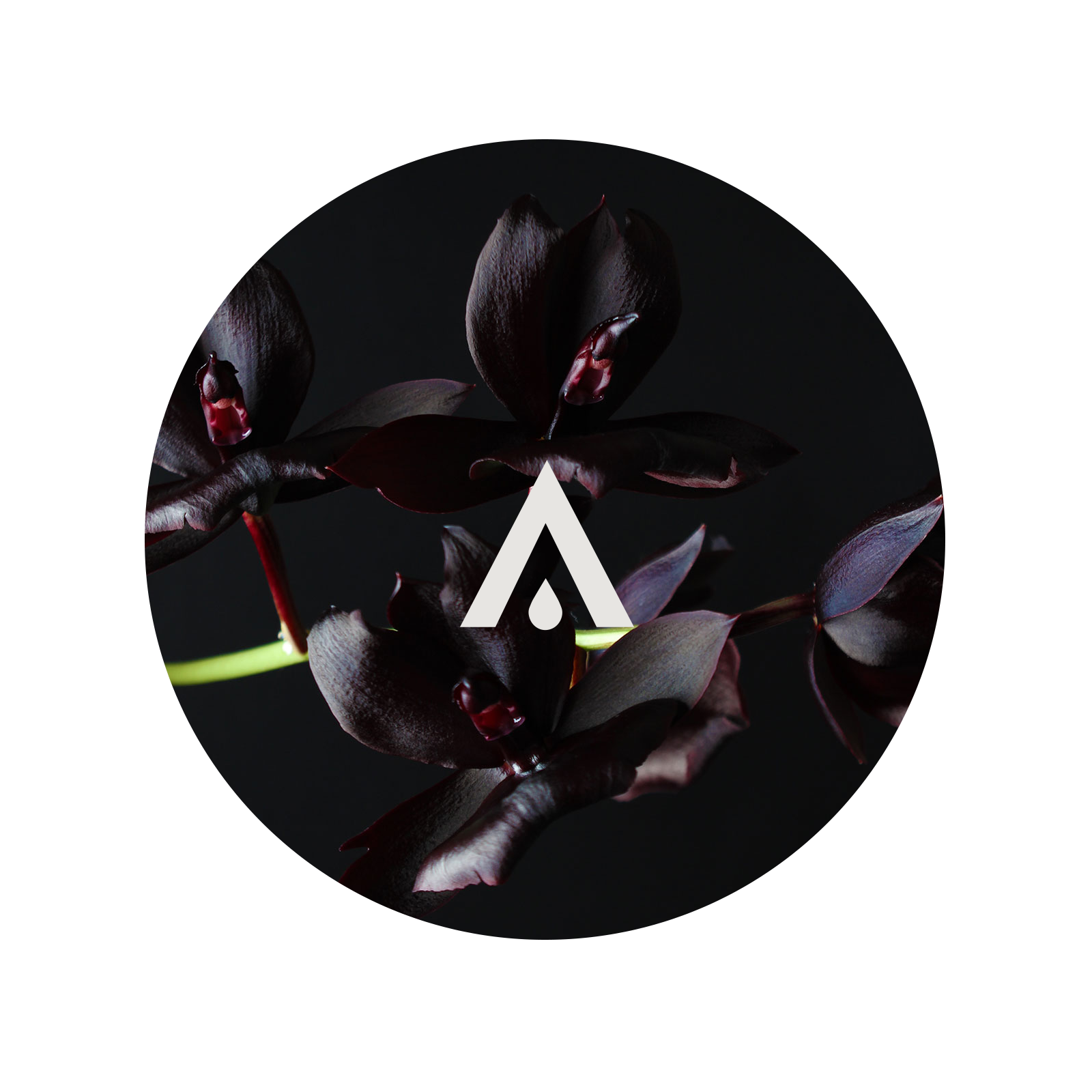 Black Orchid and Ylang Aroma Oil for Diffusers