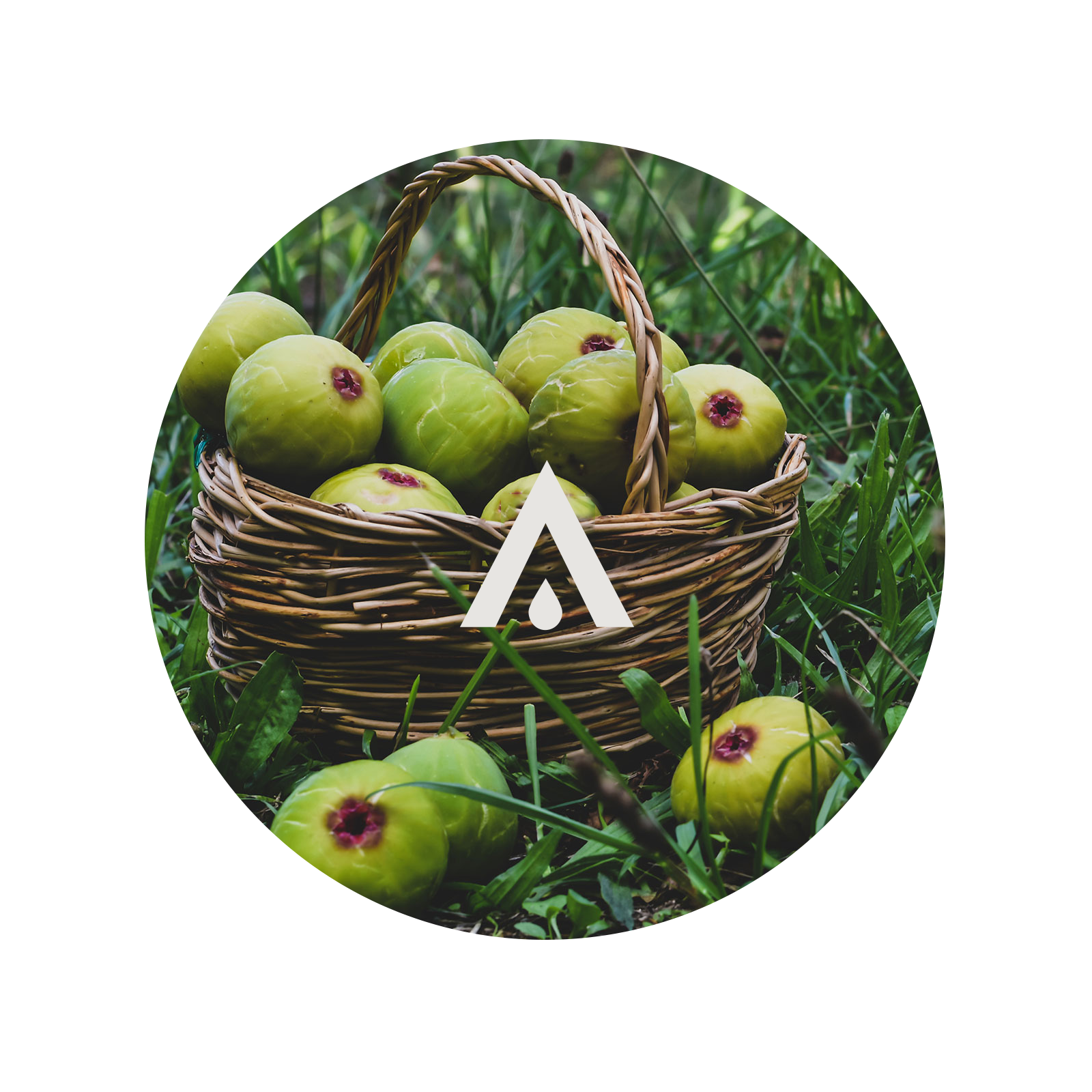 Green Fig and Herbs Aroma Oil for Diffusers