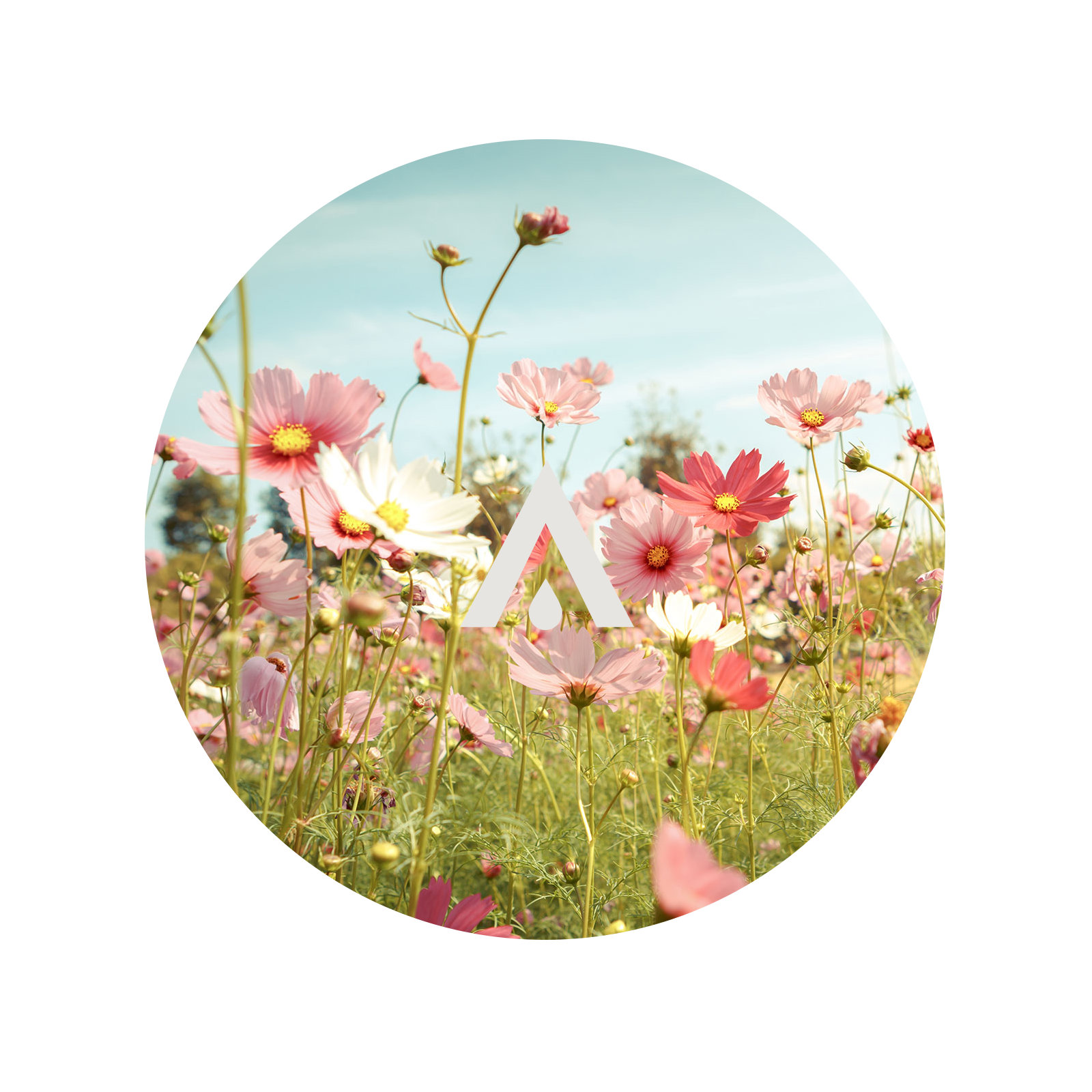 Blooming Paradise Diffuser Oil
