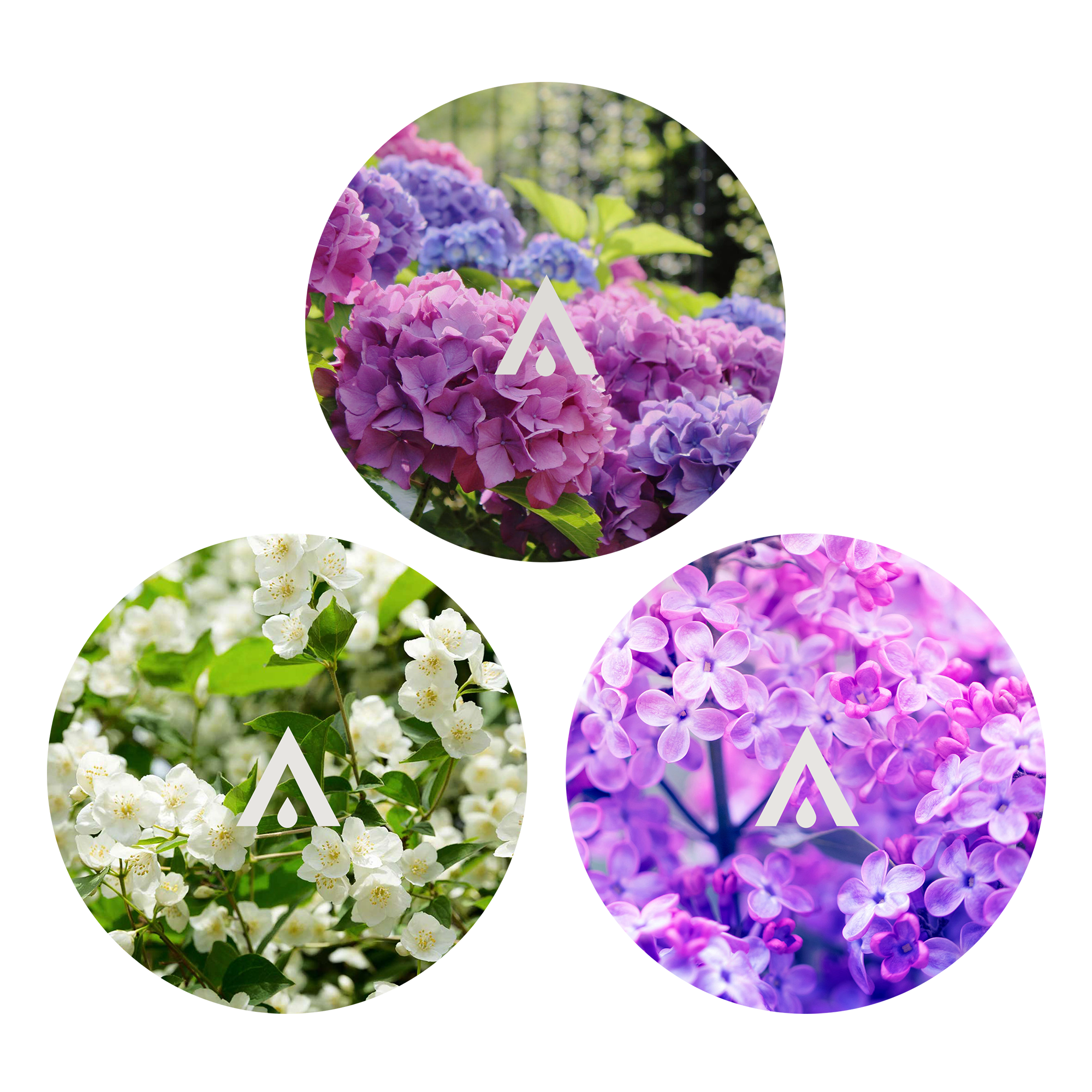 The Aegean Garden Aroma Oil Bundle for diffusers