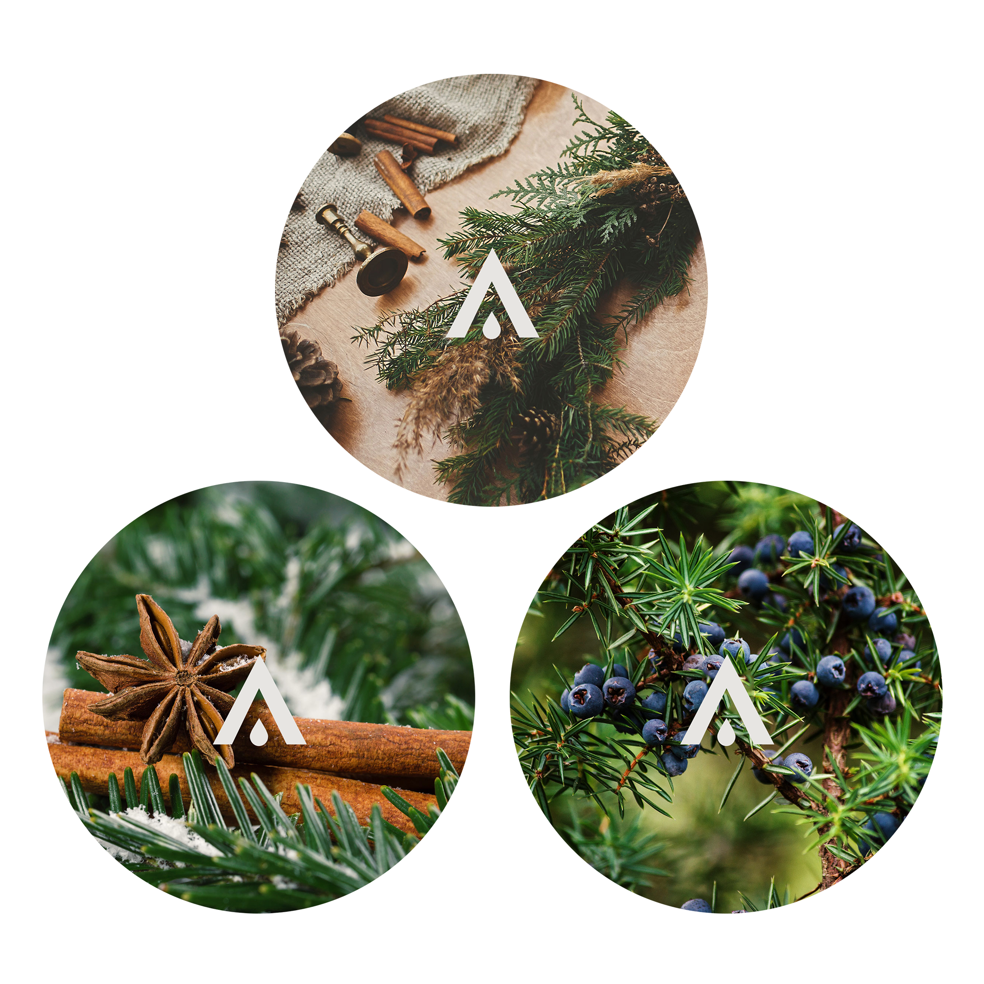 The Wintergreen Aroma Oil Bundle for diffusers