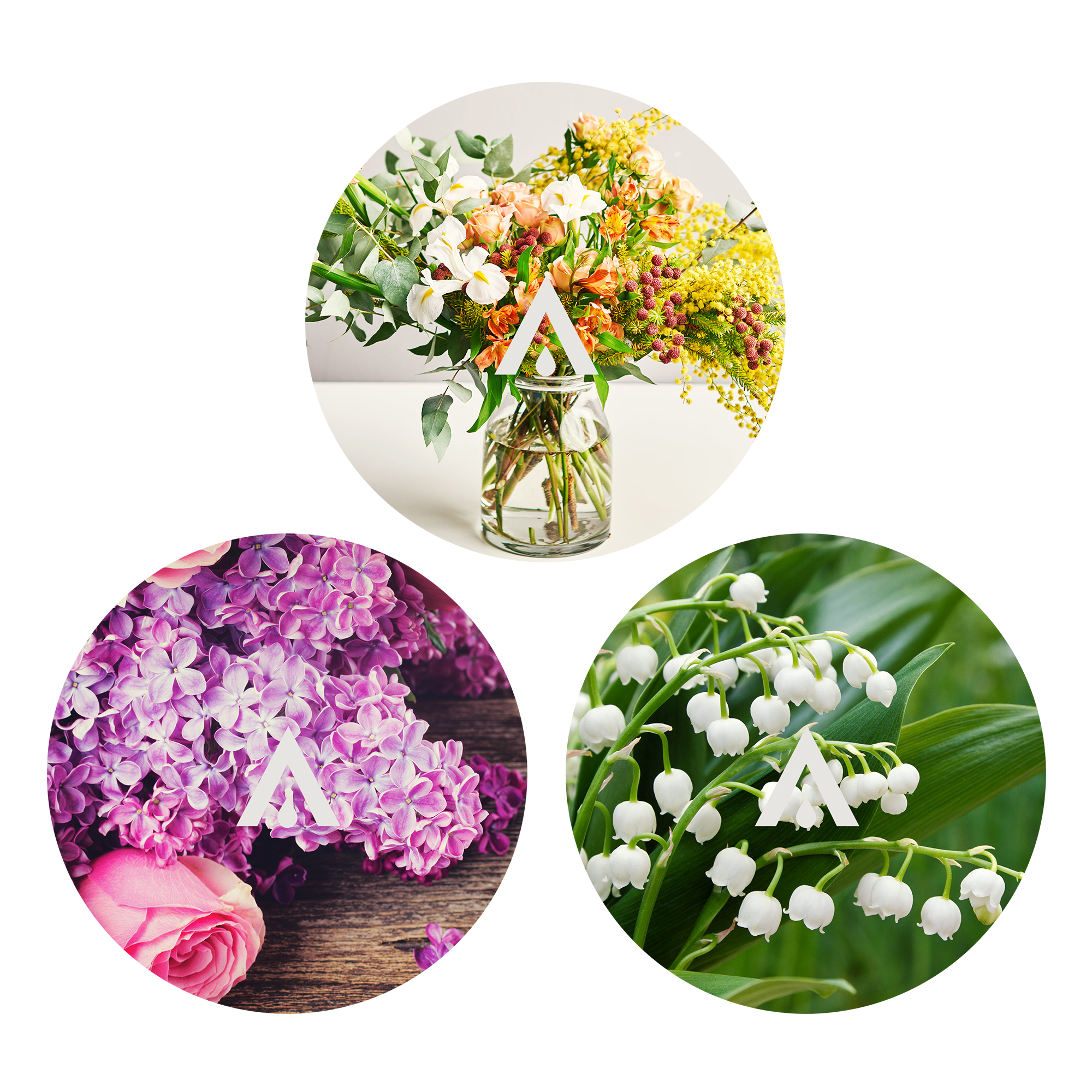 The Spring Blooms Aroma Oil Bundle for diffusers