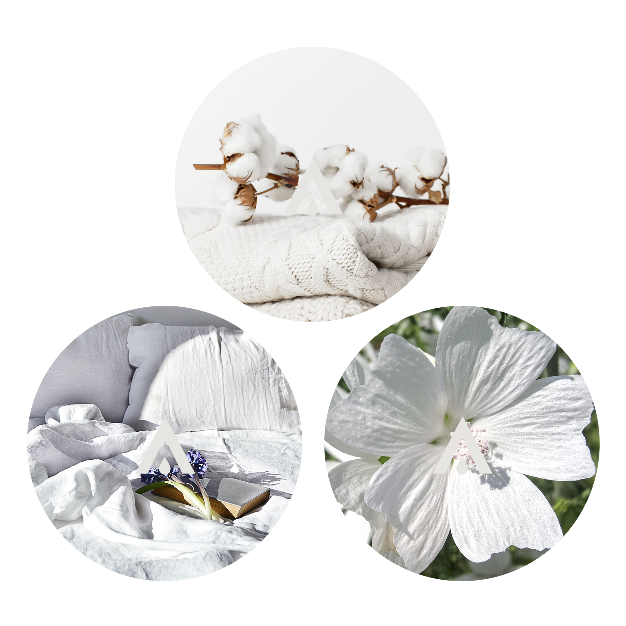 The Soft Whites Diffuser Oil set of 3 clean fragrance oils