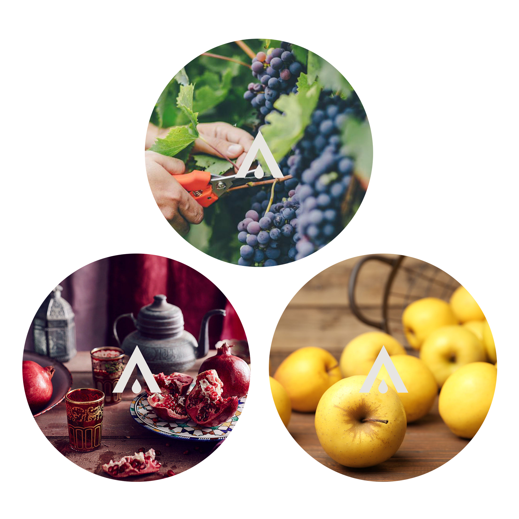 The October Harvest Aroma Oils Bundle for diffusers