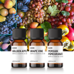The October Harvest Diffuser Oil Bundle