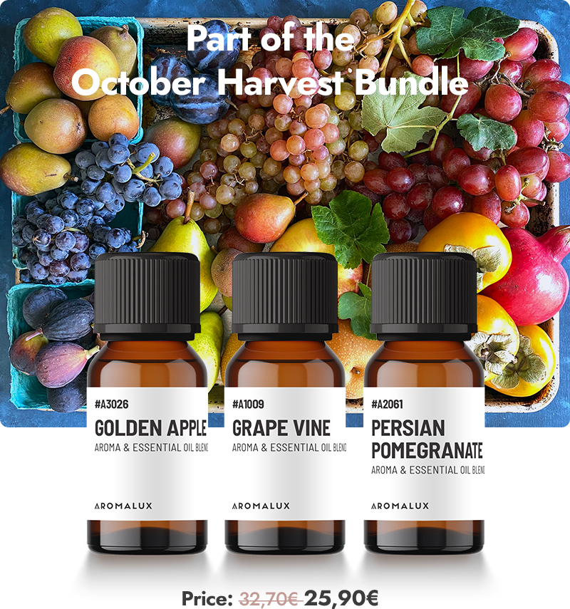 Bundle Image