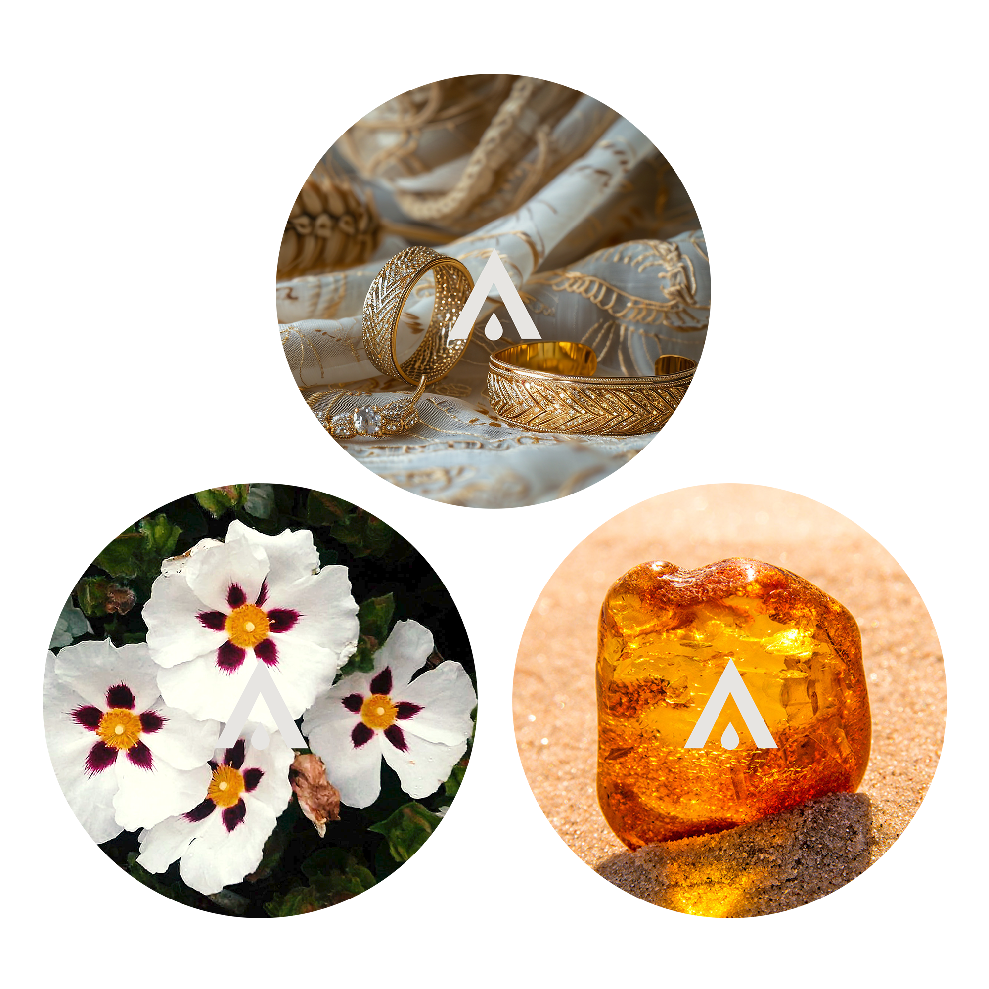 The Maharani Attars Aroma Oils Bundle for diffusers