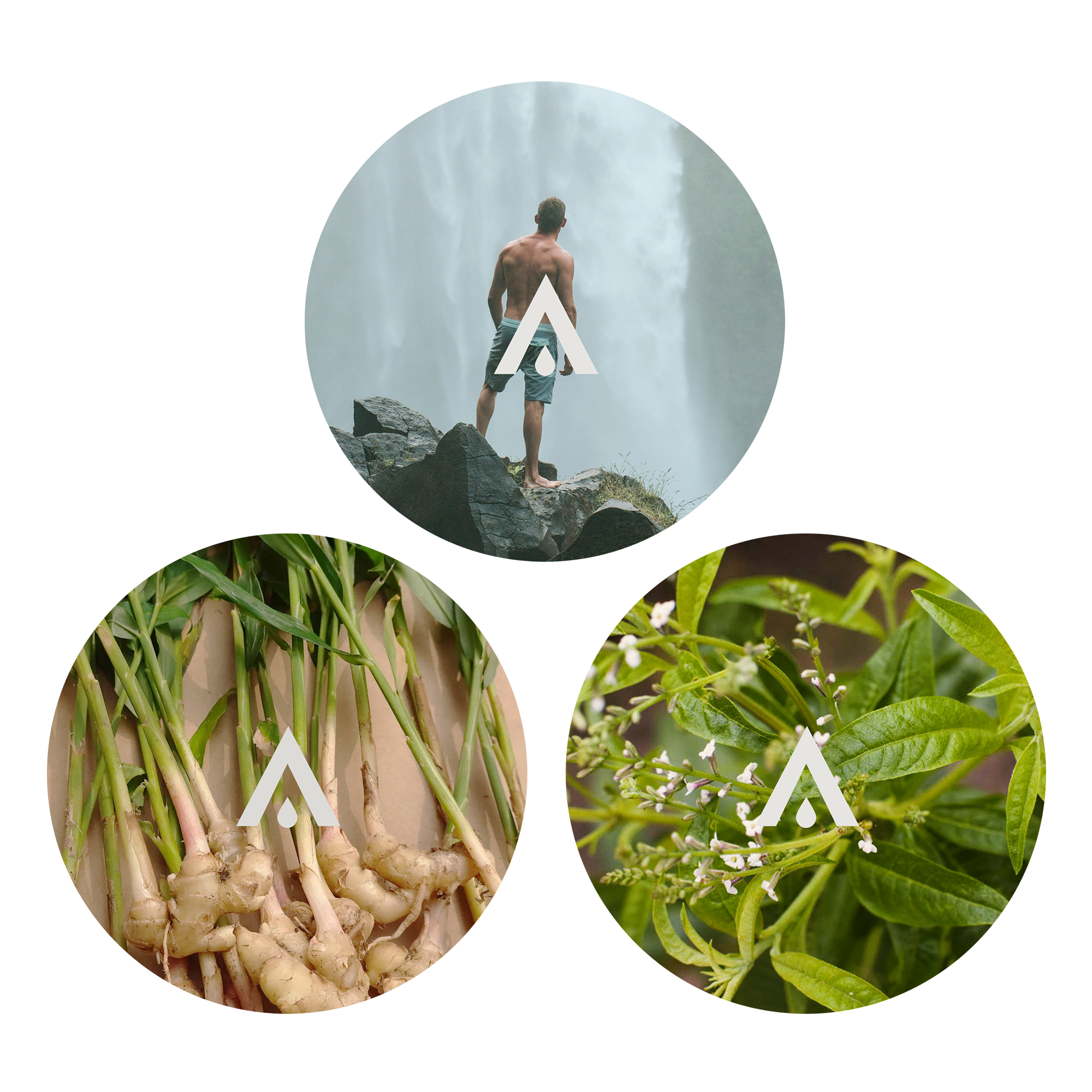 The Hammam Diffuser Oil Set of 3 clean and invigorating fragrance oils