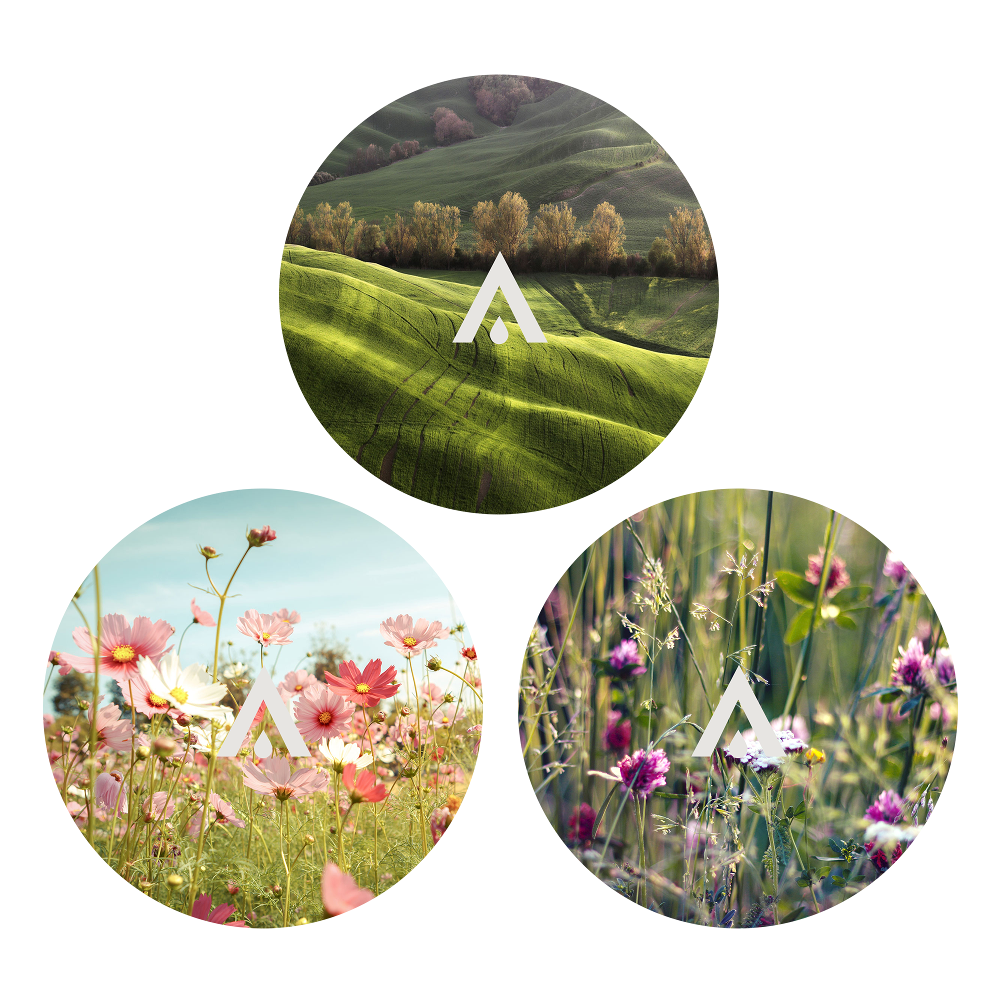 The English Countryside Diffuser Oil Set of 3 fragrance oils
