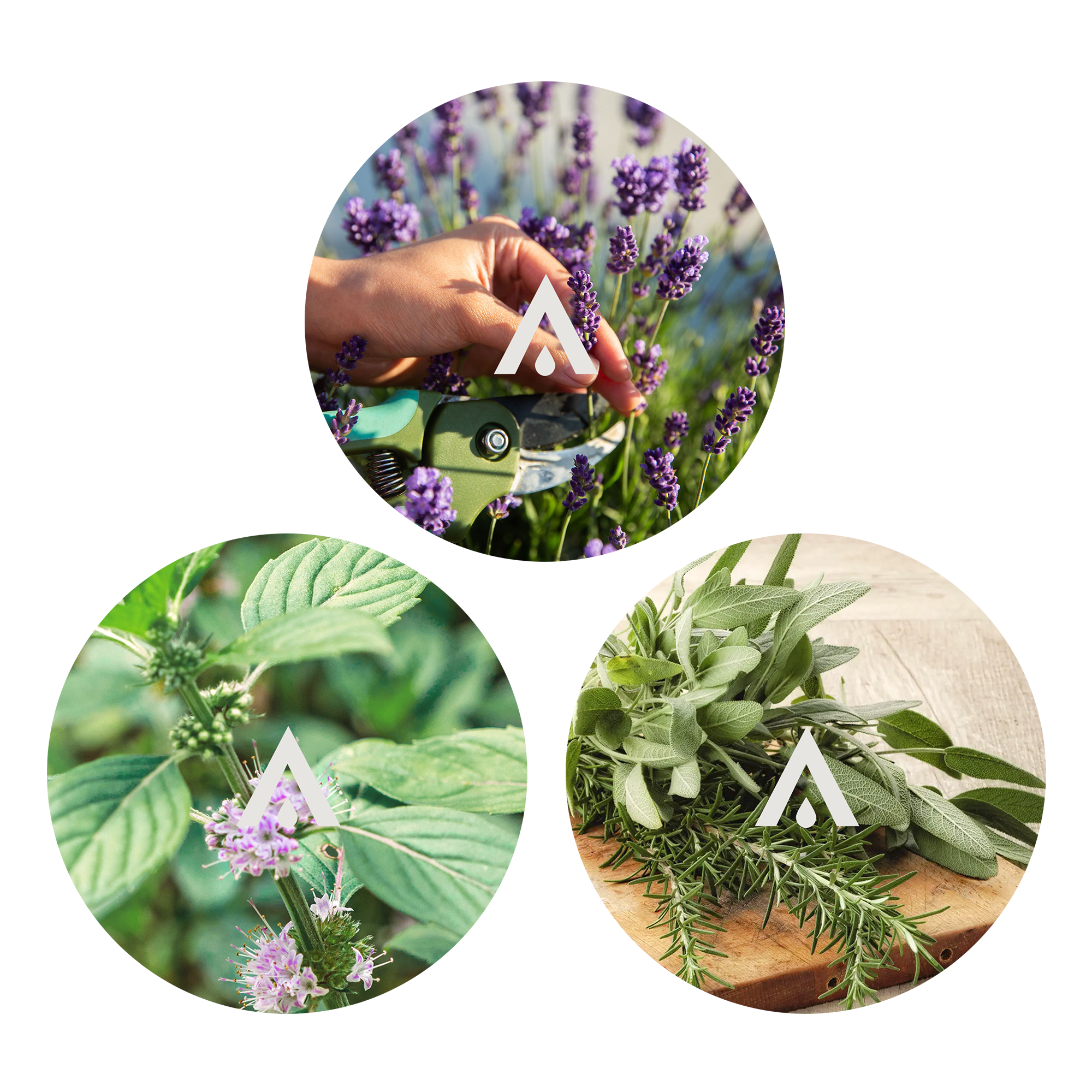 The Garden Herbs Aroma set of 3 all natural scents