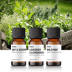 The Garden Herbs Diffuser Oil Bundle