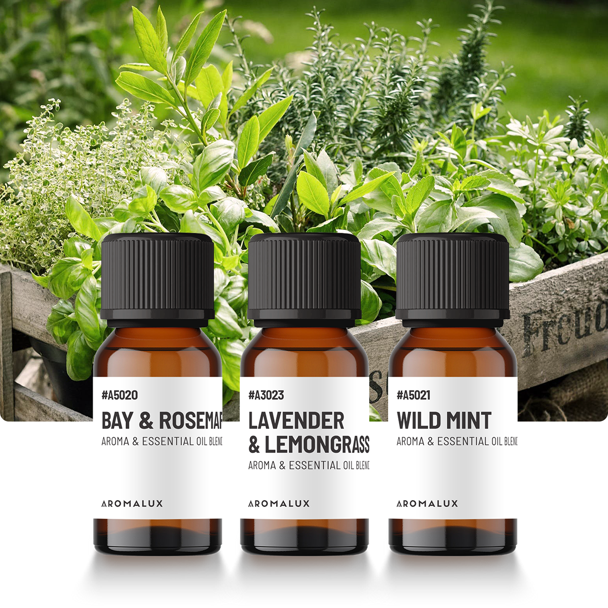 The Garden Herbs Diffuser Oil Bundle