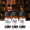 The Lost Archives Diffuser Oil Bundle