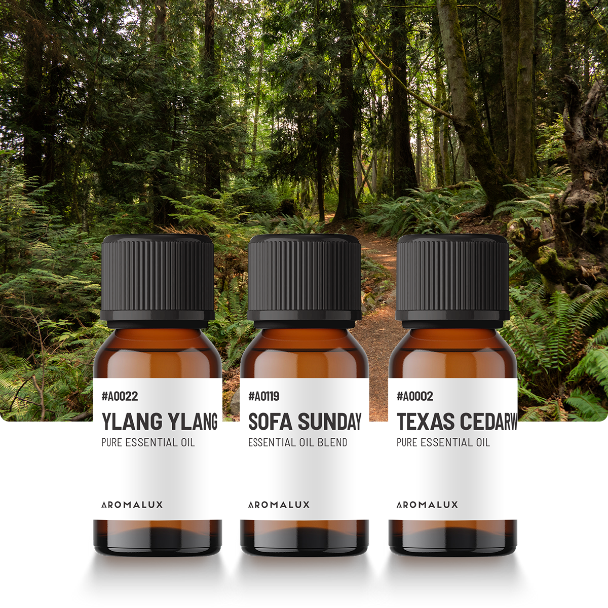 The Deep Serenity Essential Oil Set