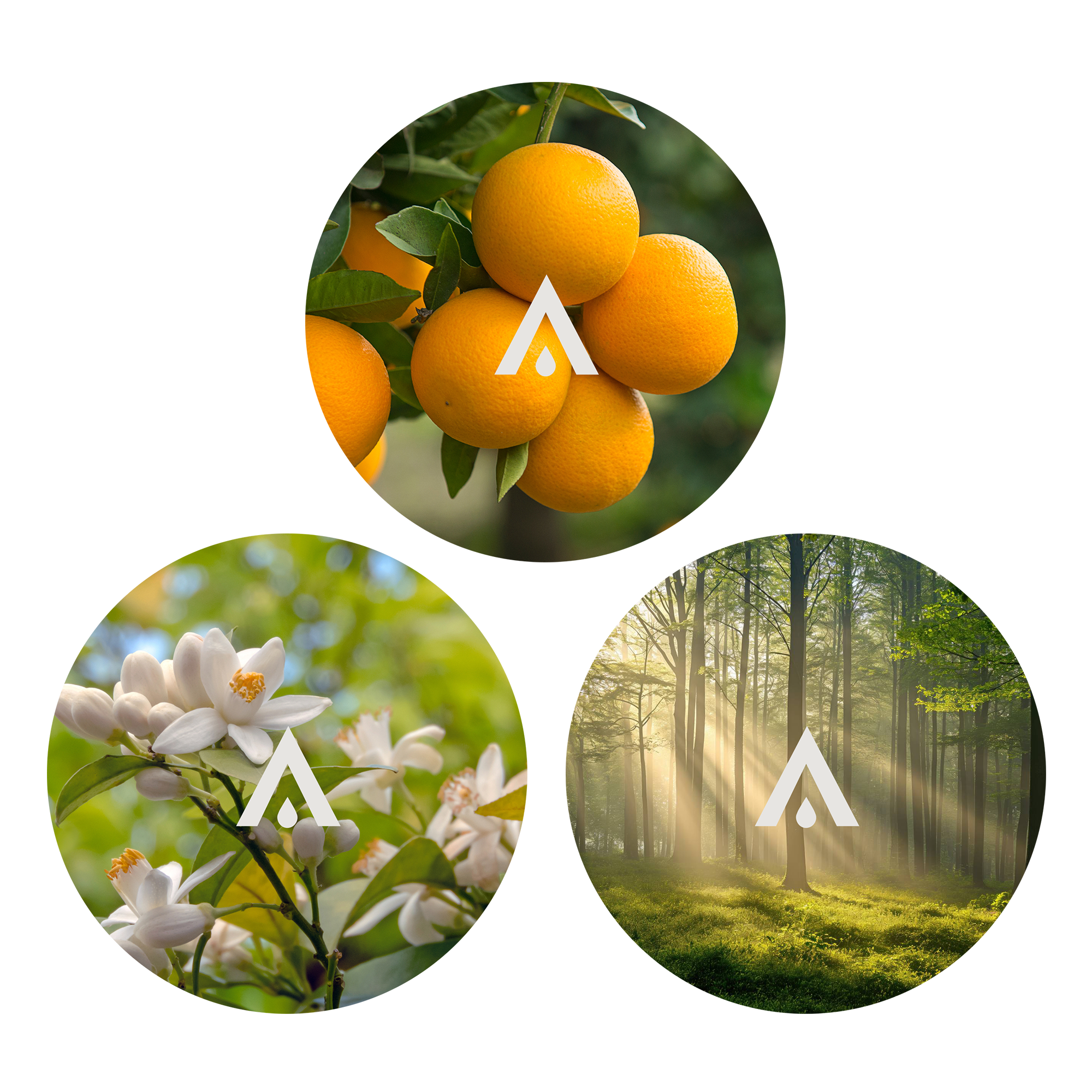 The Radiant Joy Essential Oil Bundle scents included