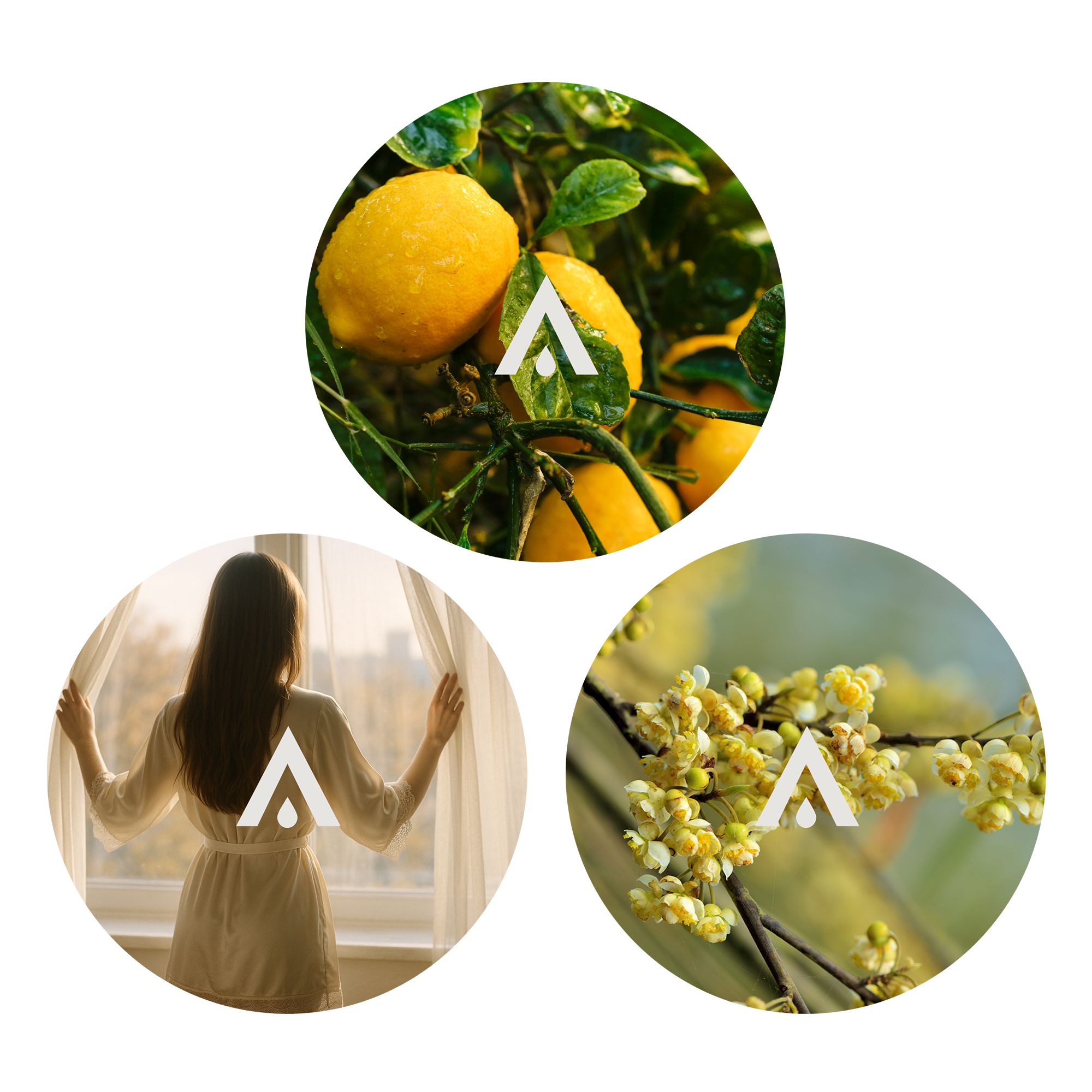 The Pure Morning Essential Oil Bundle scents included