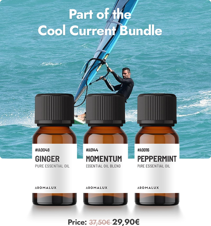 Bundle Image