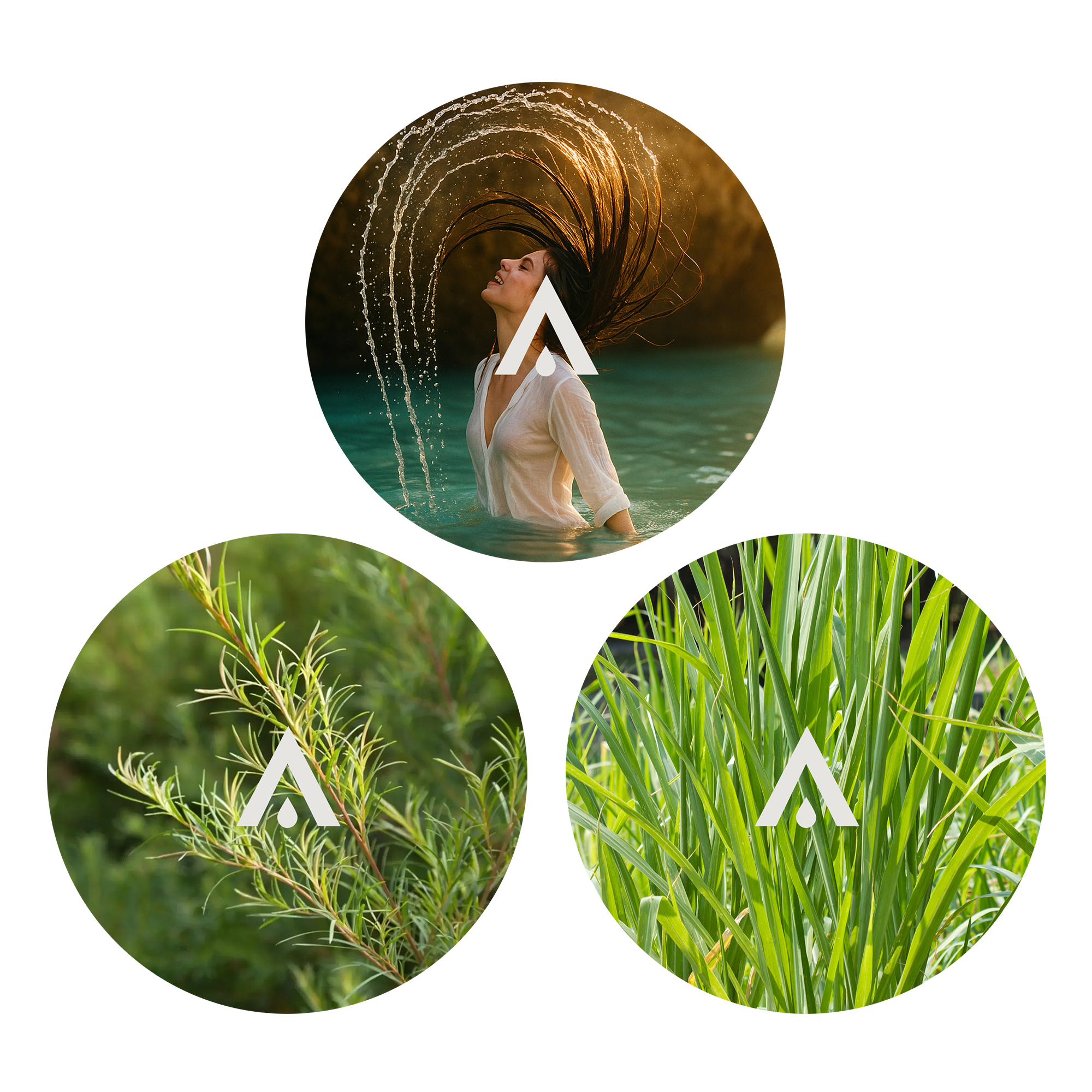 The Vital Surge Essential Oil Bundle scents included