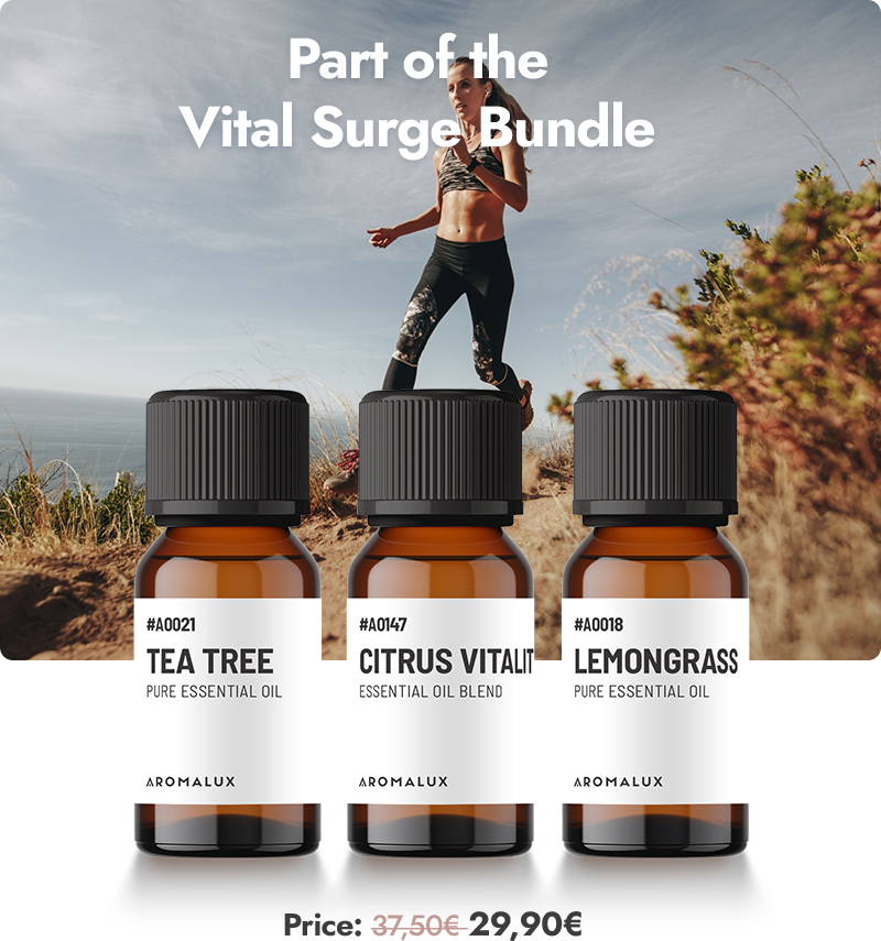 Bundle Image