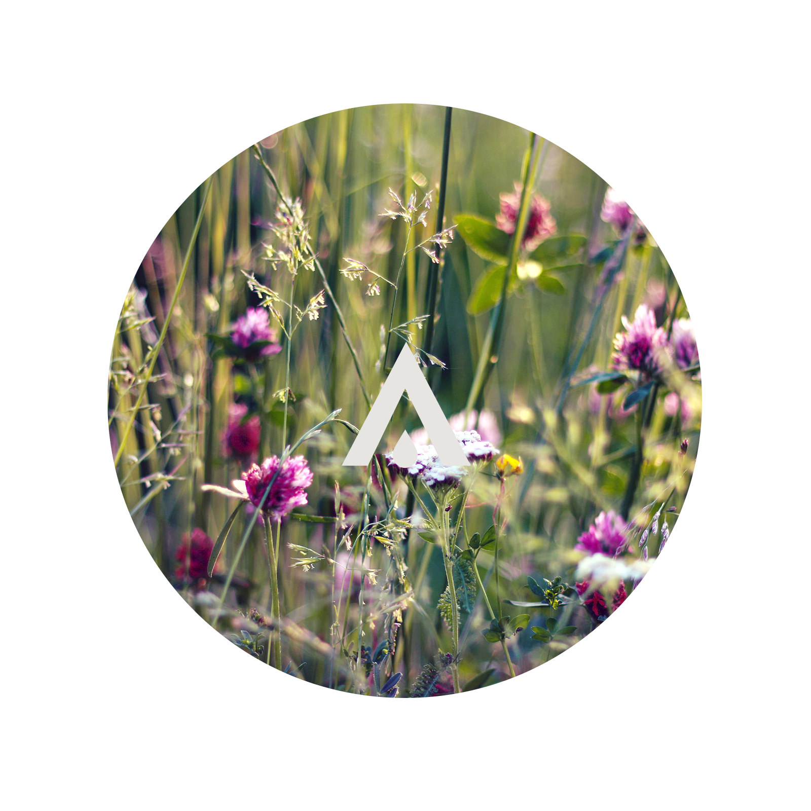 Wild meadow aroma oil for diffusers