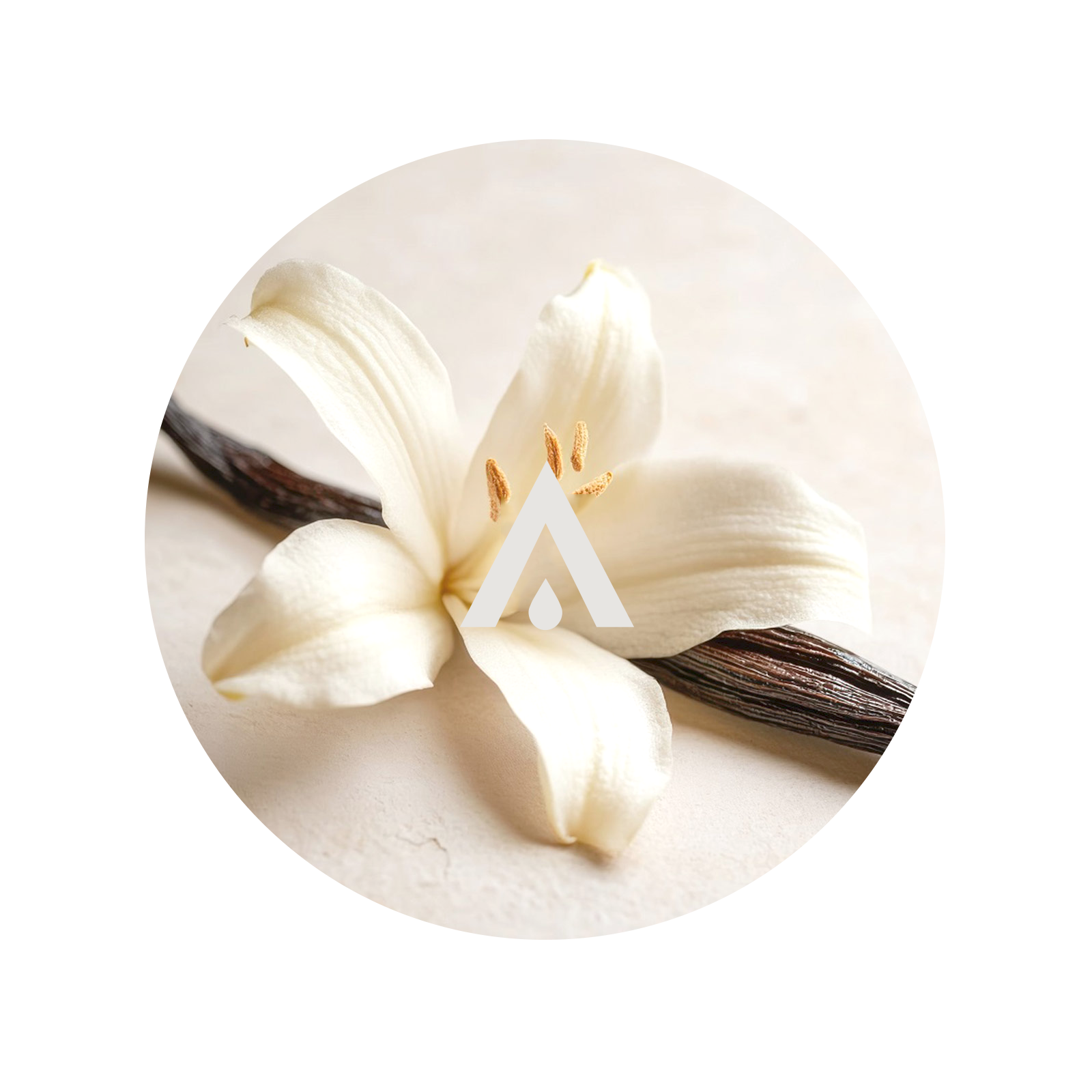 Vanilla Musk Aroma Oil for diffusers