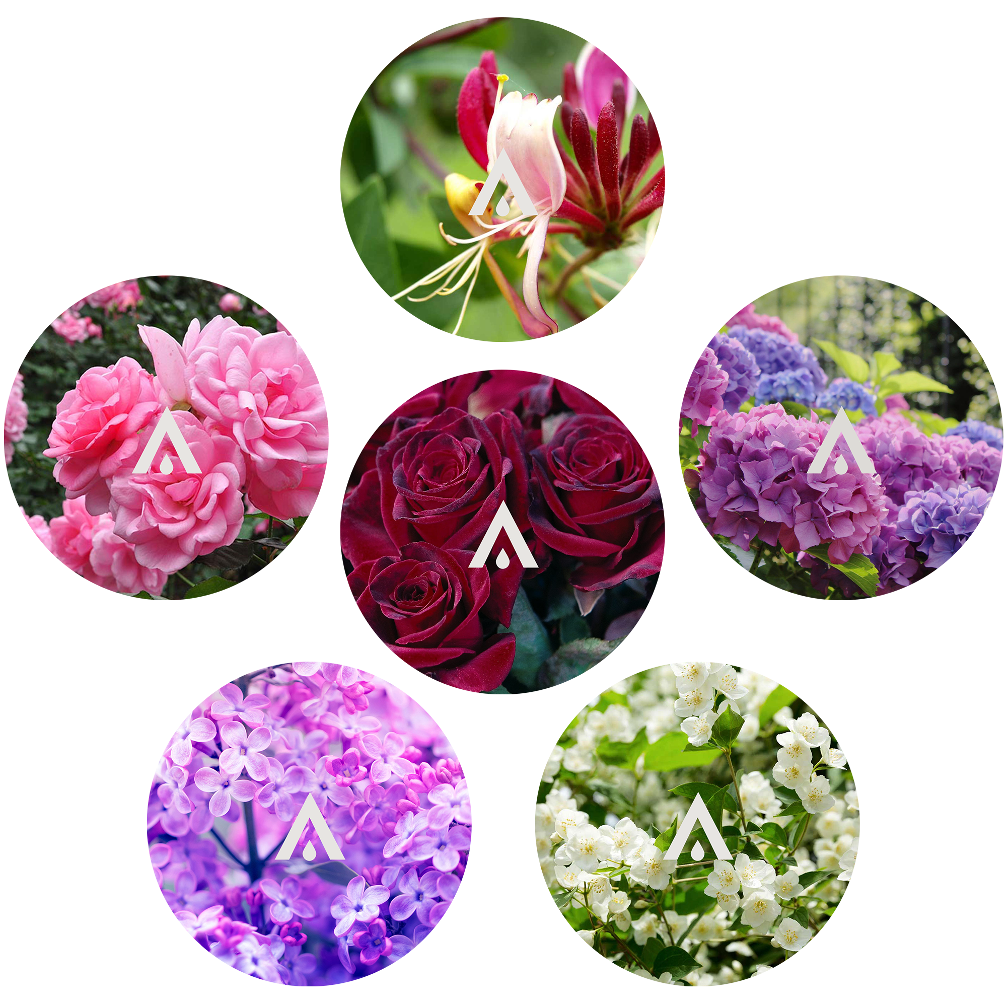 The Garden Staples Signature Bundle scent included in the set
